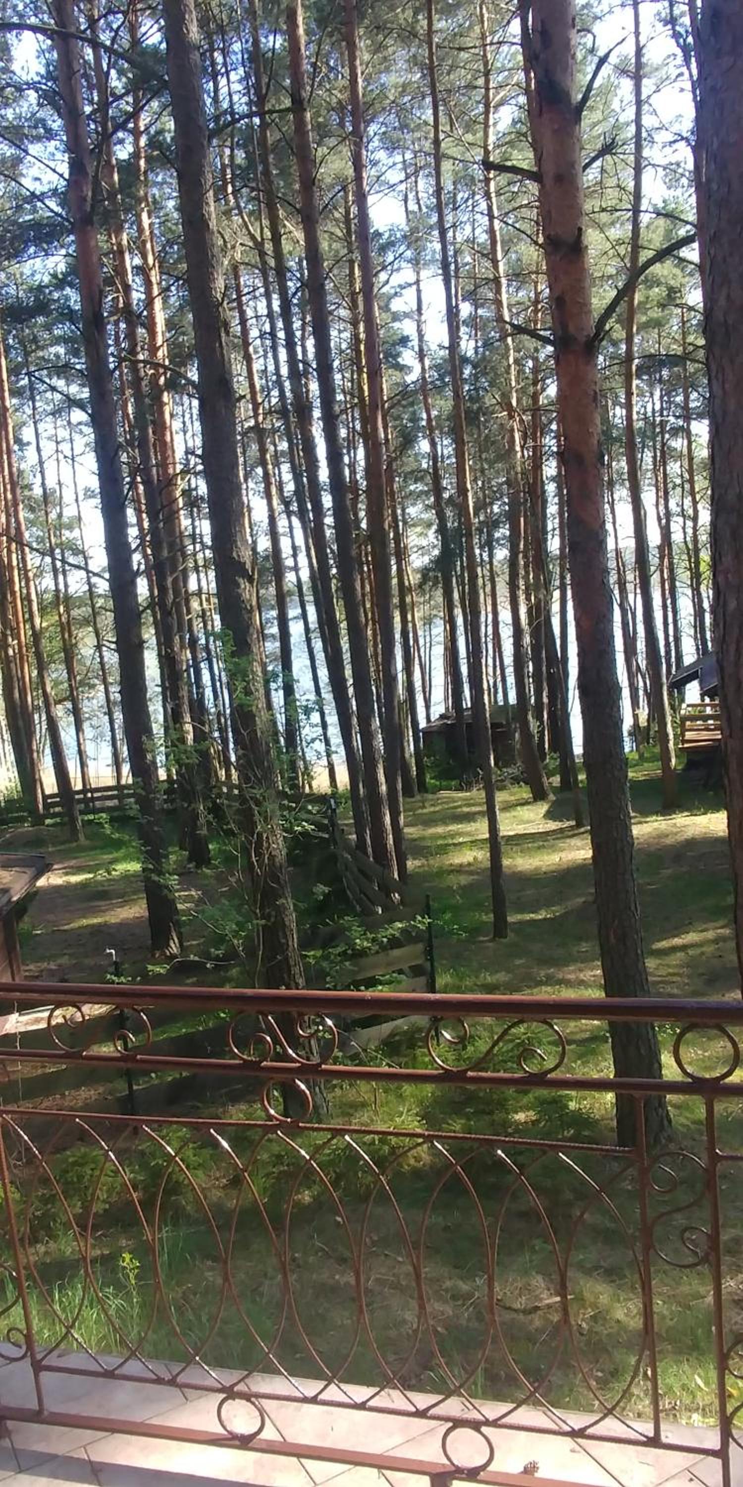 Domek w sercu lasu w Borach Tucholskich