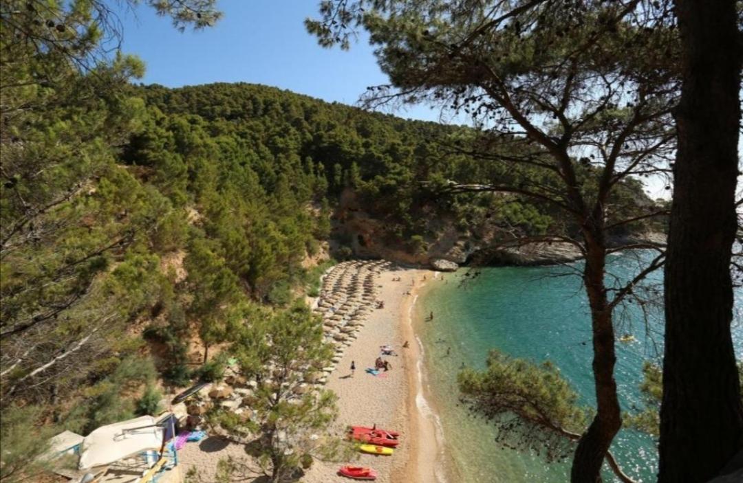Residence Relax Pugnochiuso view 3