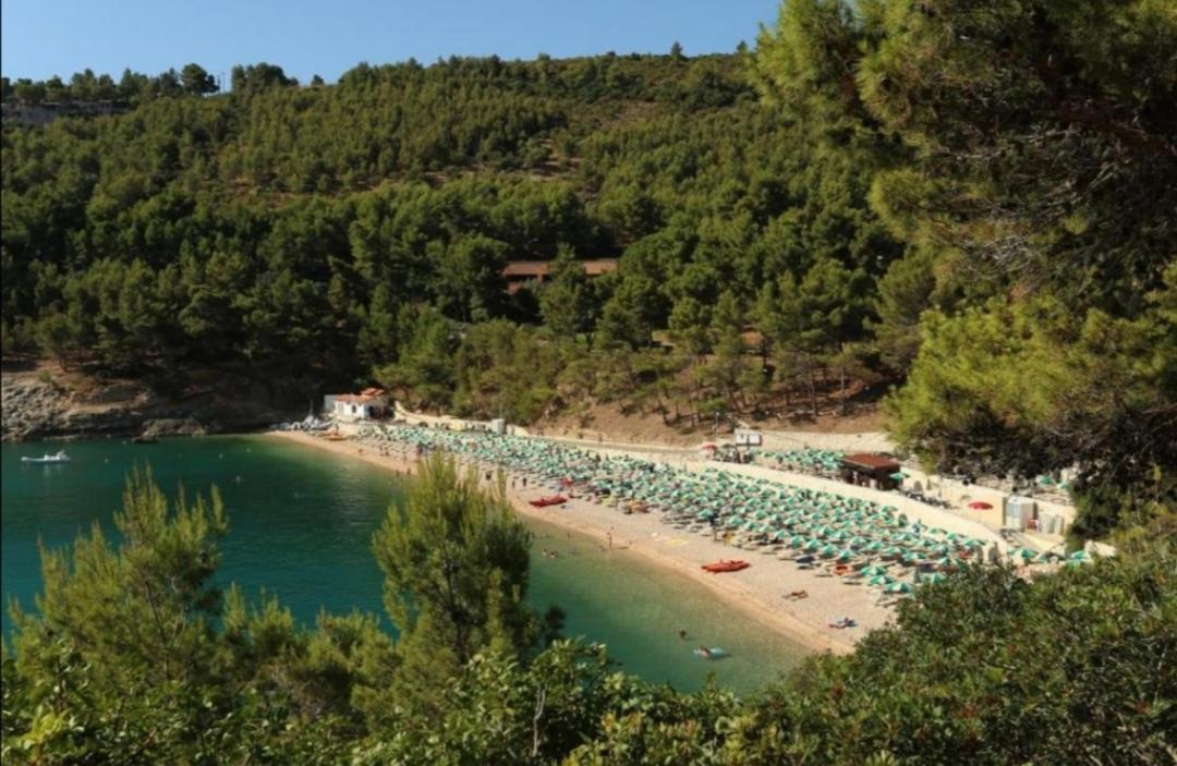 Residence Relax Pugnochiuso view 2