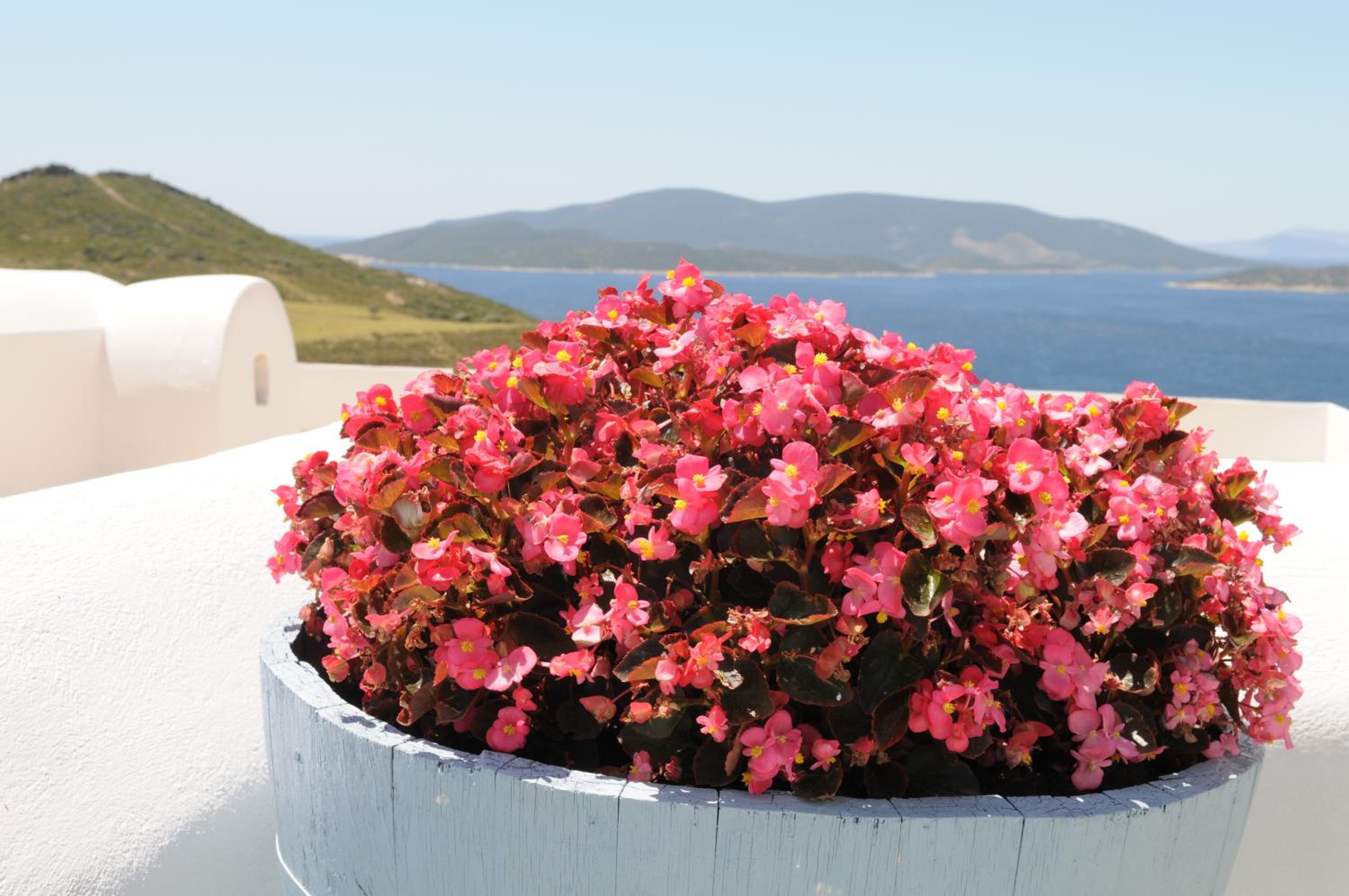 Celini Suites Hotel