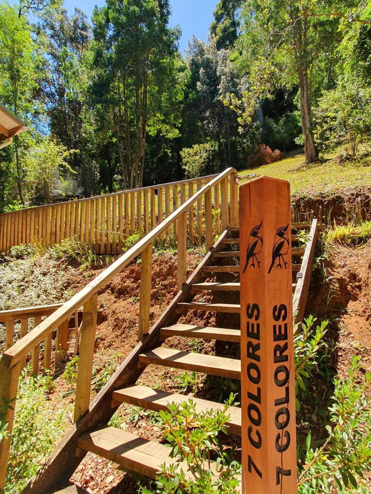 LA CASA EN EL BOSQUE con vista al Río