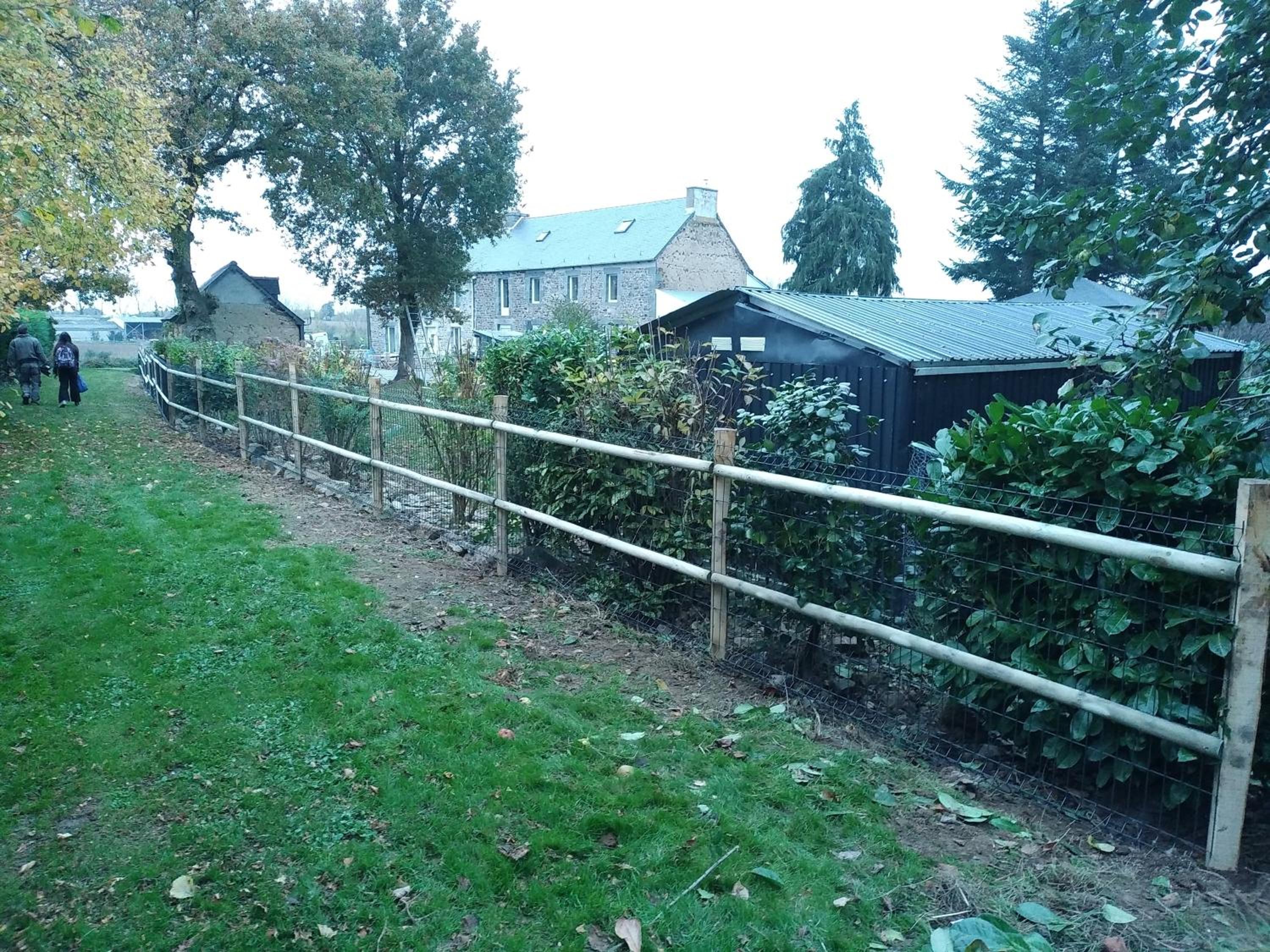 Photo 8