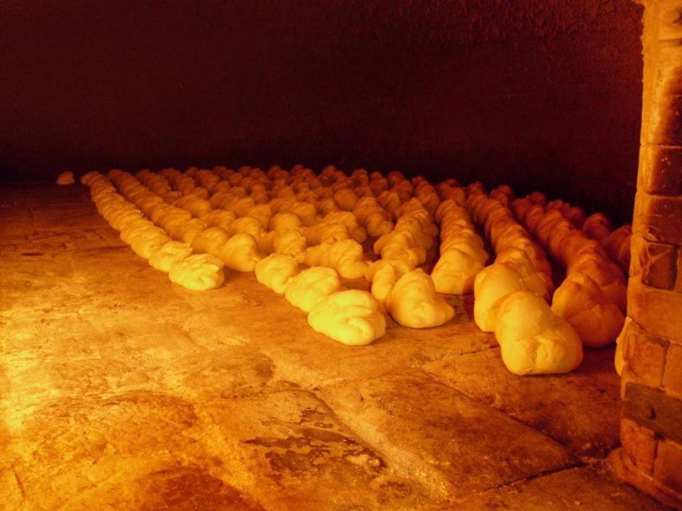 Photo 41
