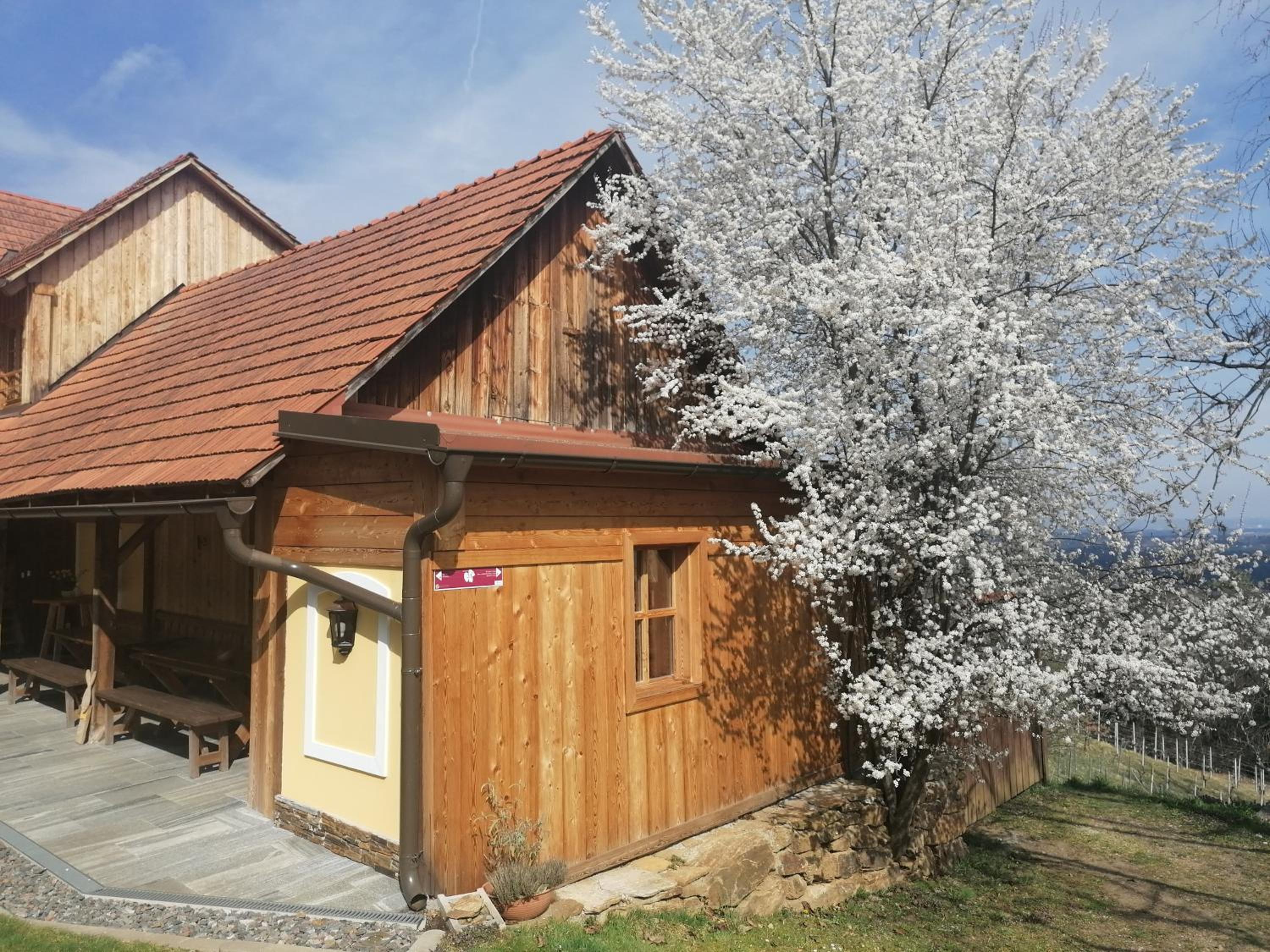 Winzerei Schober view 4