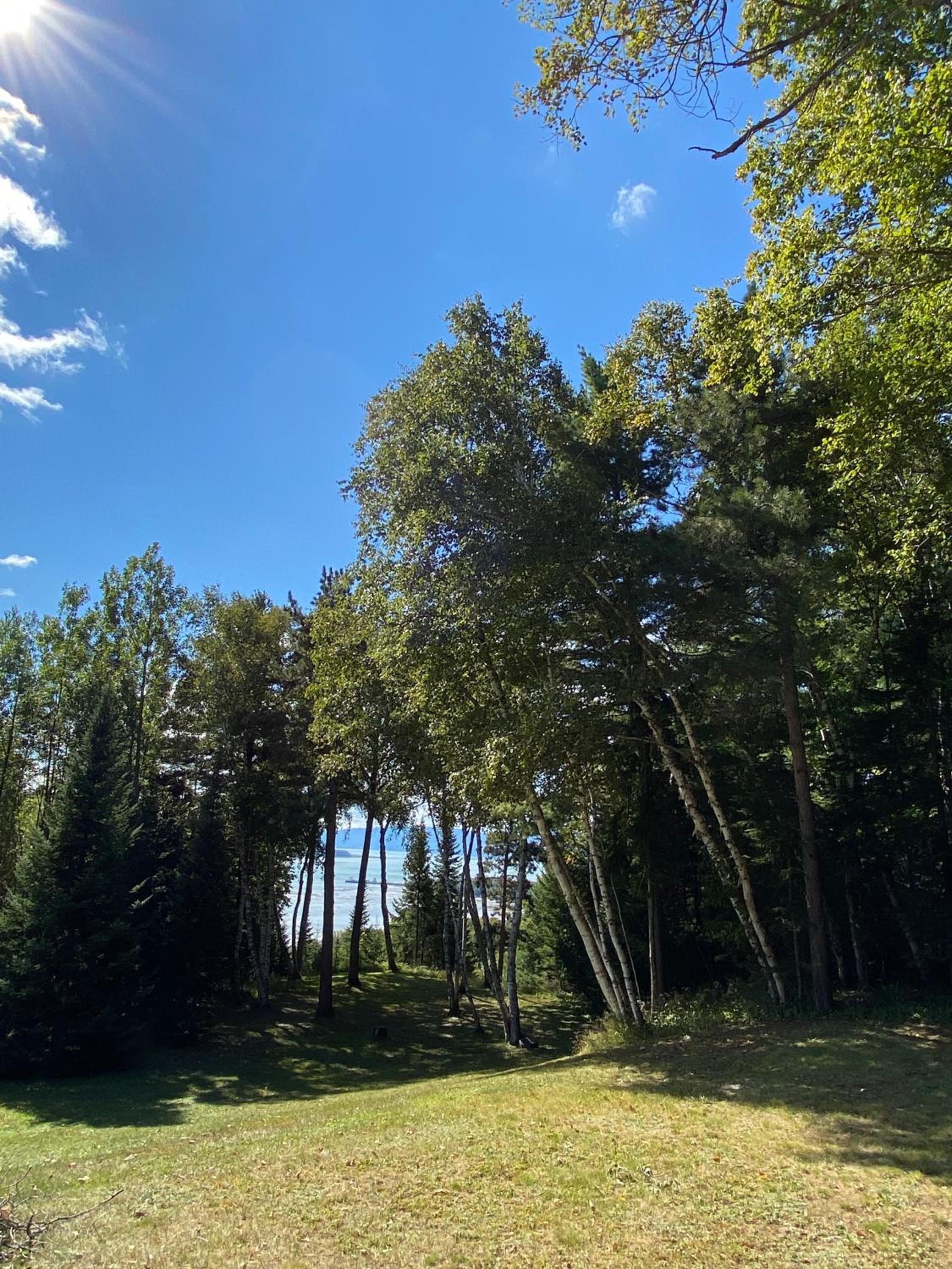 Chalet Sous Les Pins view 5