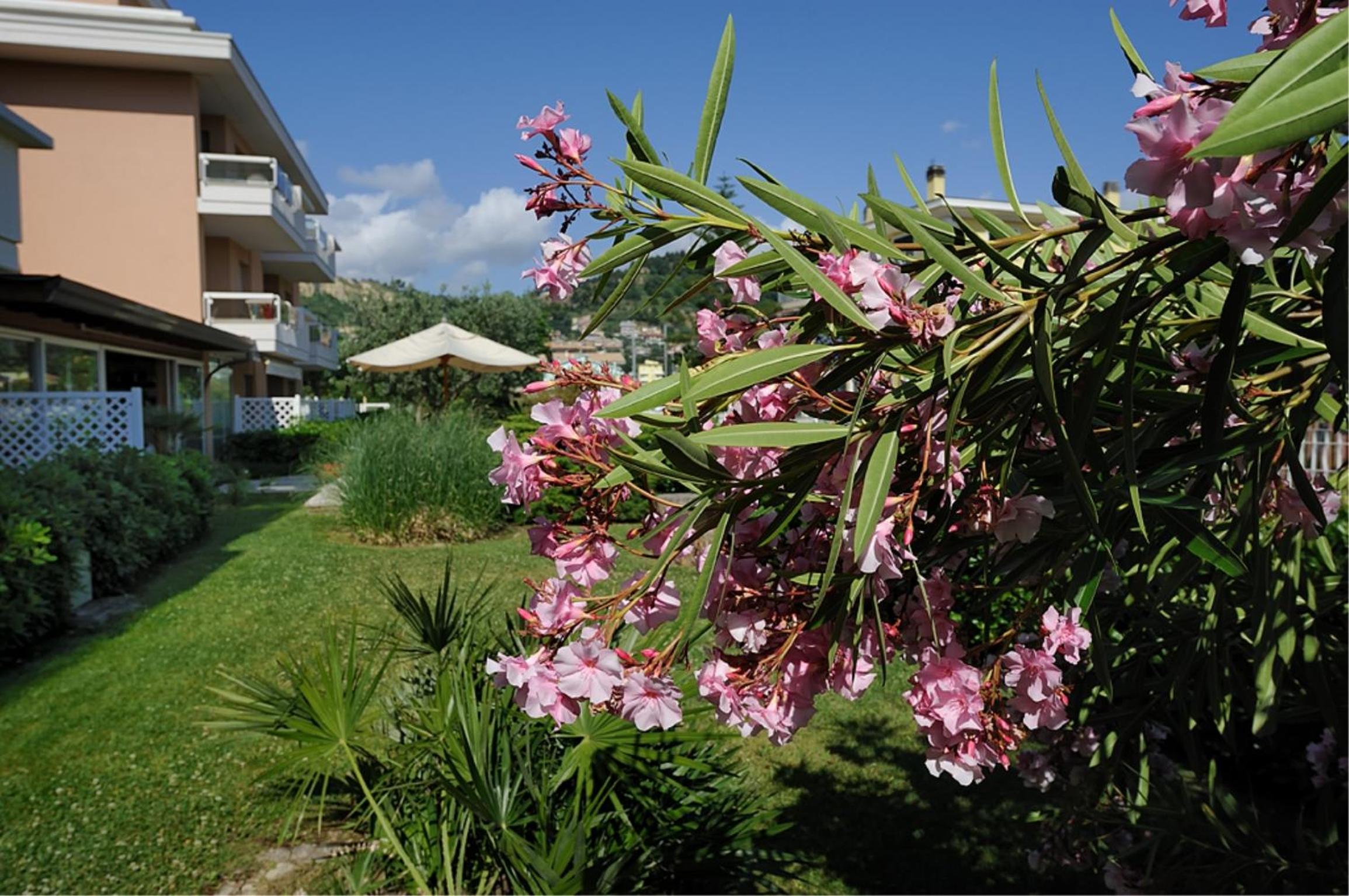 Residence Le Palme