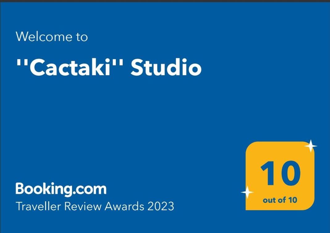 ''Cactaki'' Studio view 2