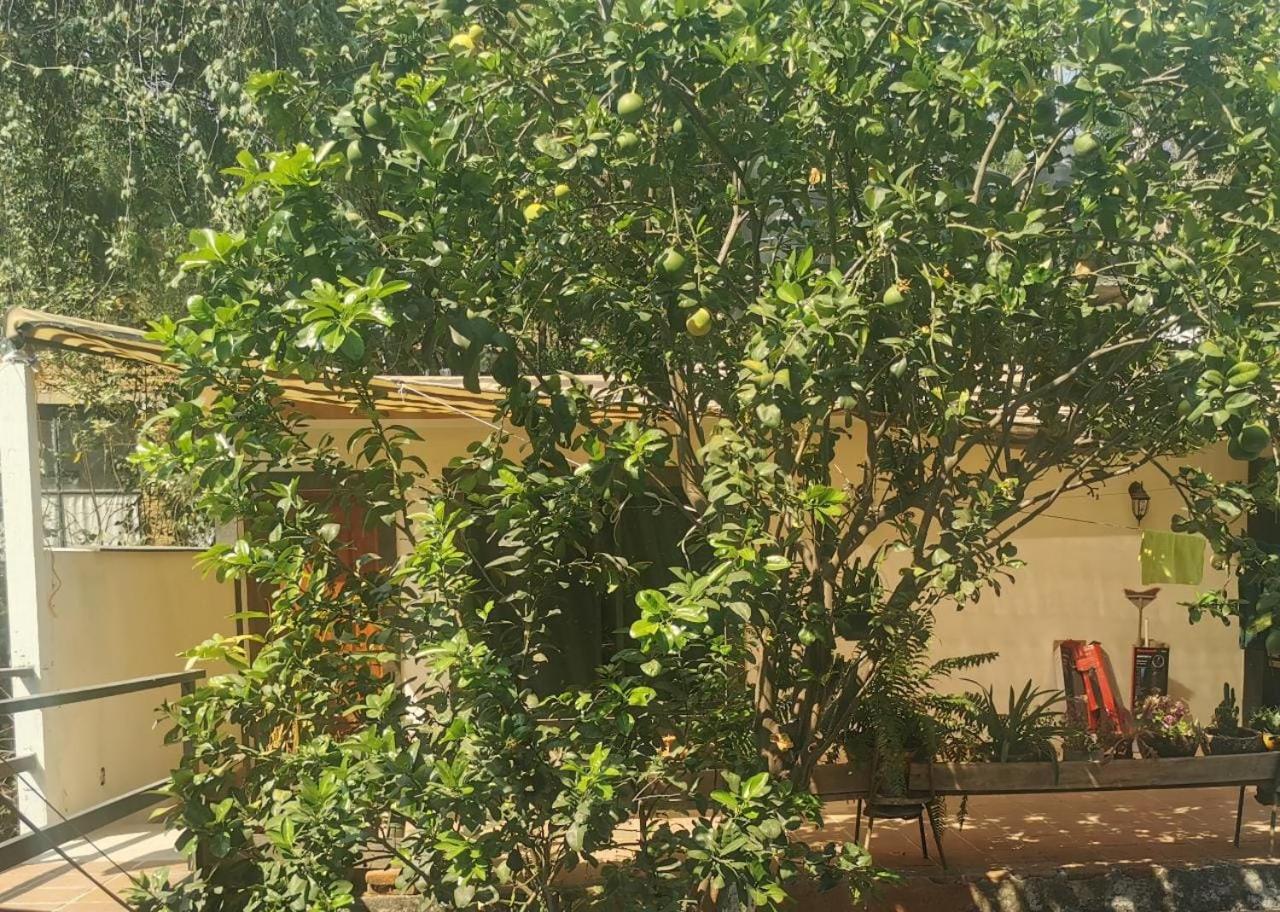 Casa Momotus view 3