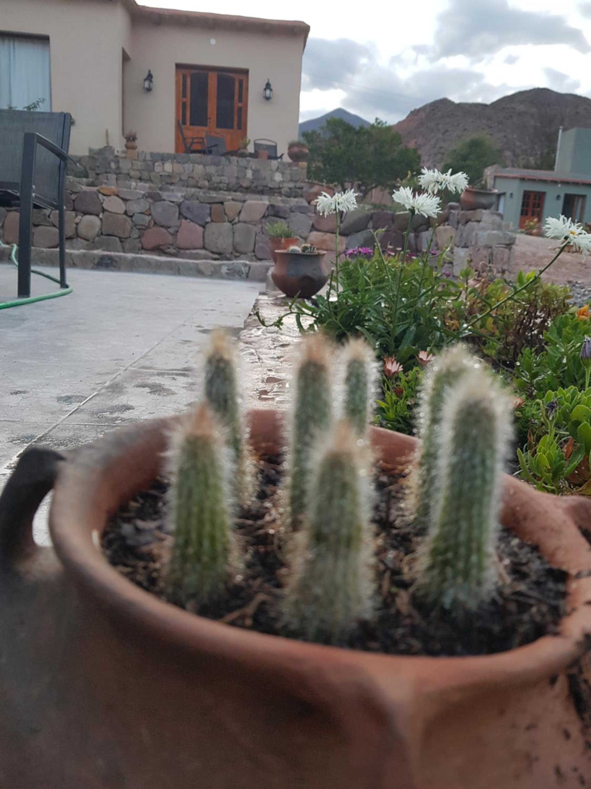 Tierra Primitiva