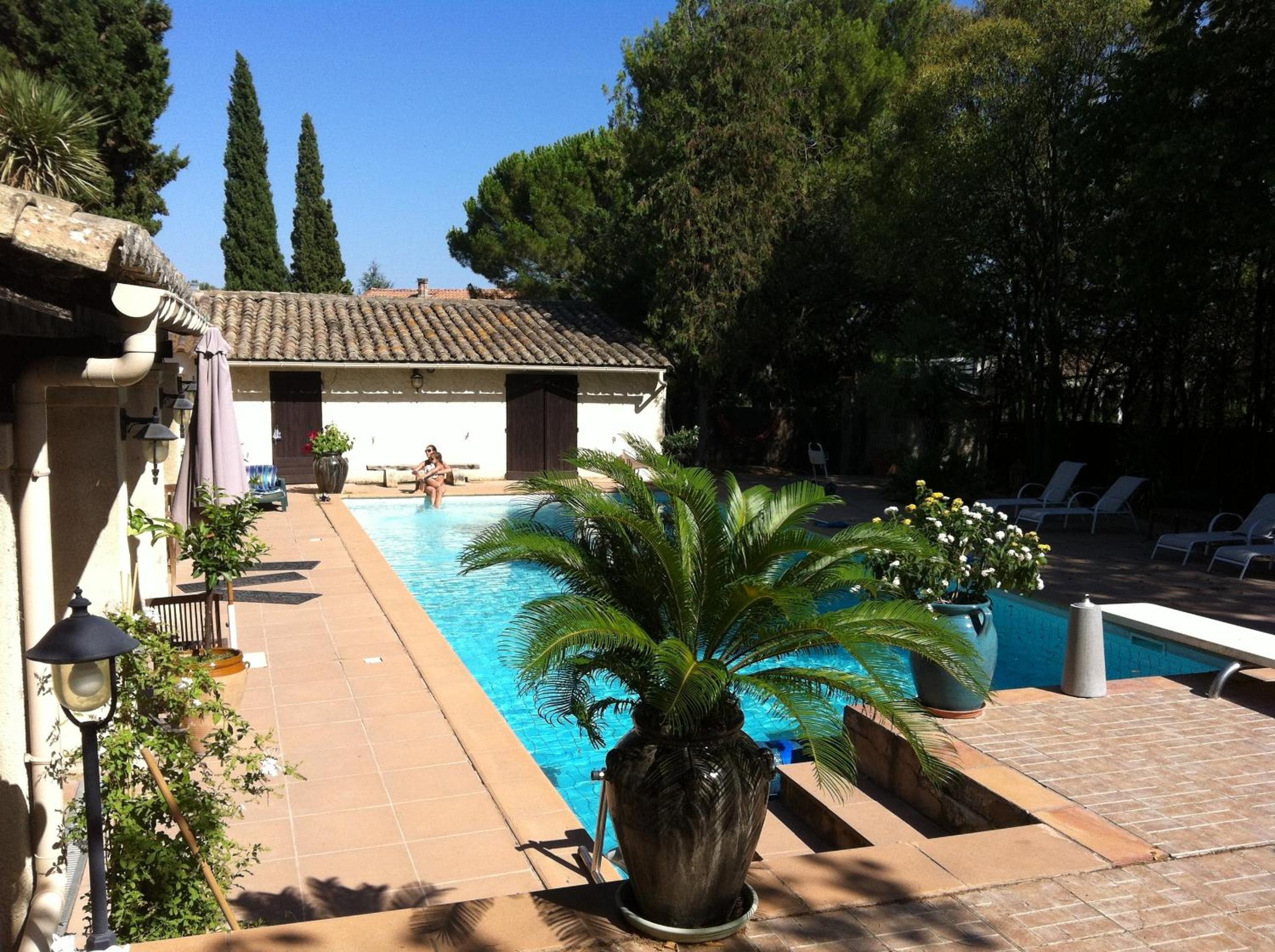 De la suite dans les oliviers