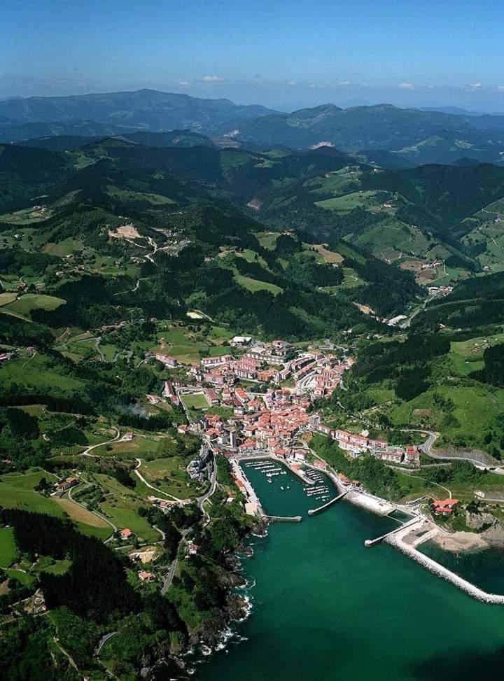 Photo 25