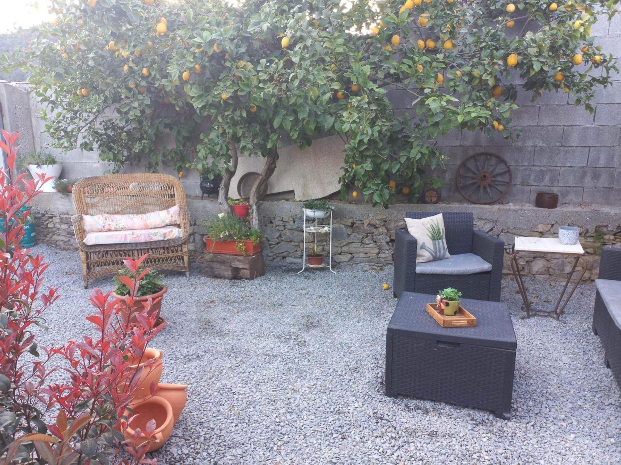 Photo 14