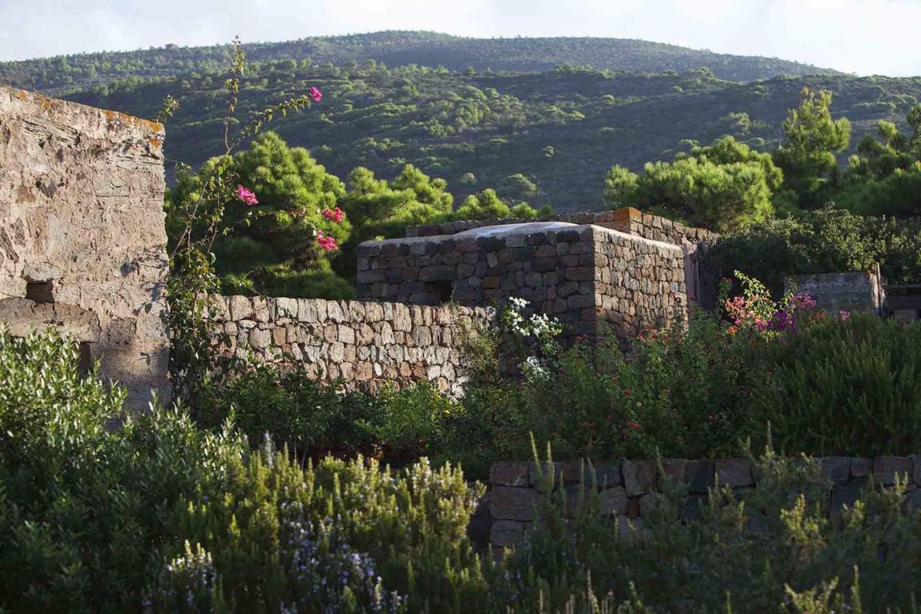 Tenuta Borgia view 5