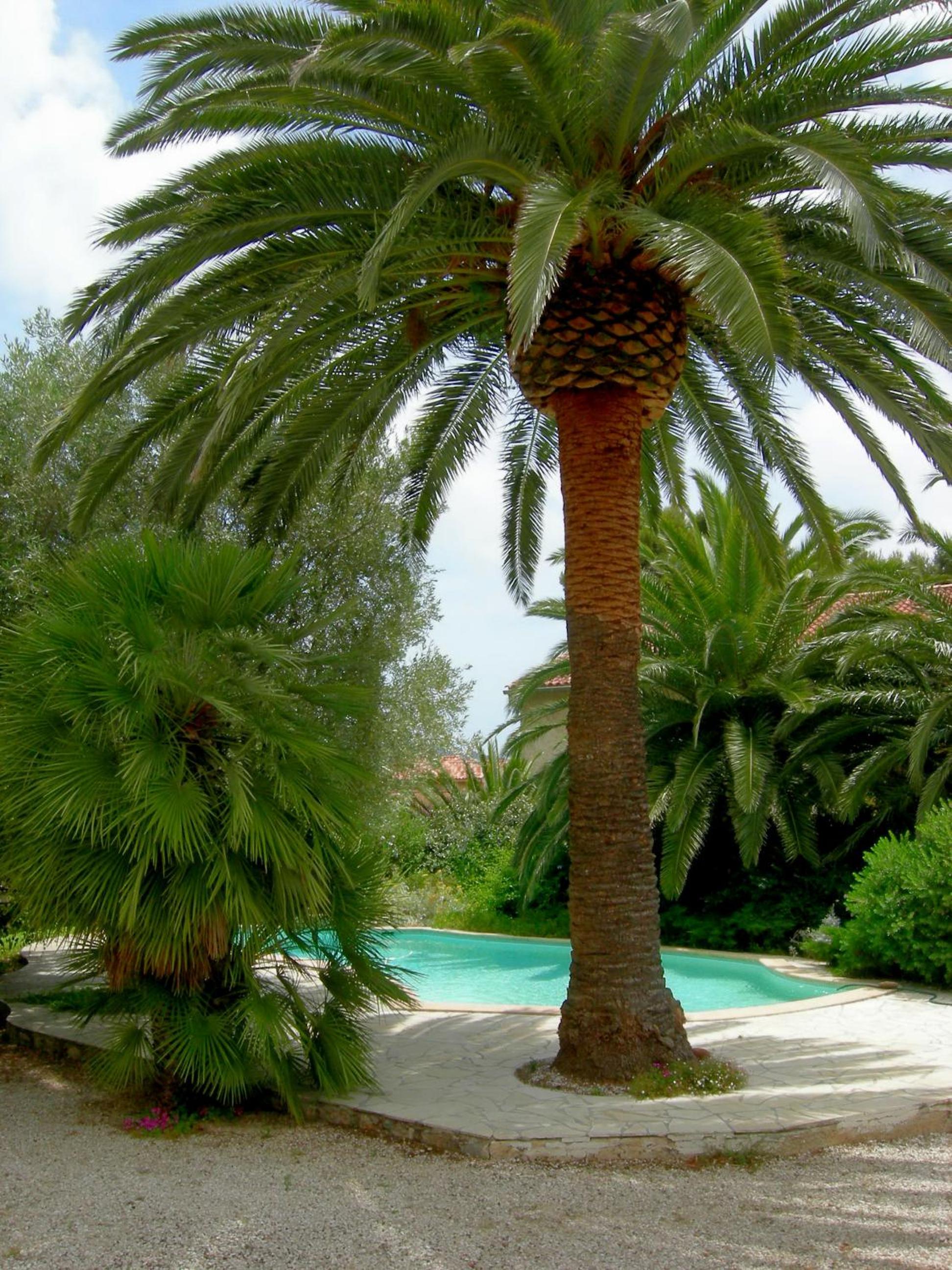 Campagne Beausoleil