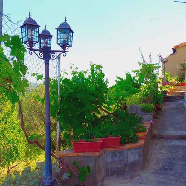 Photo 49