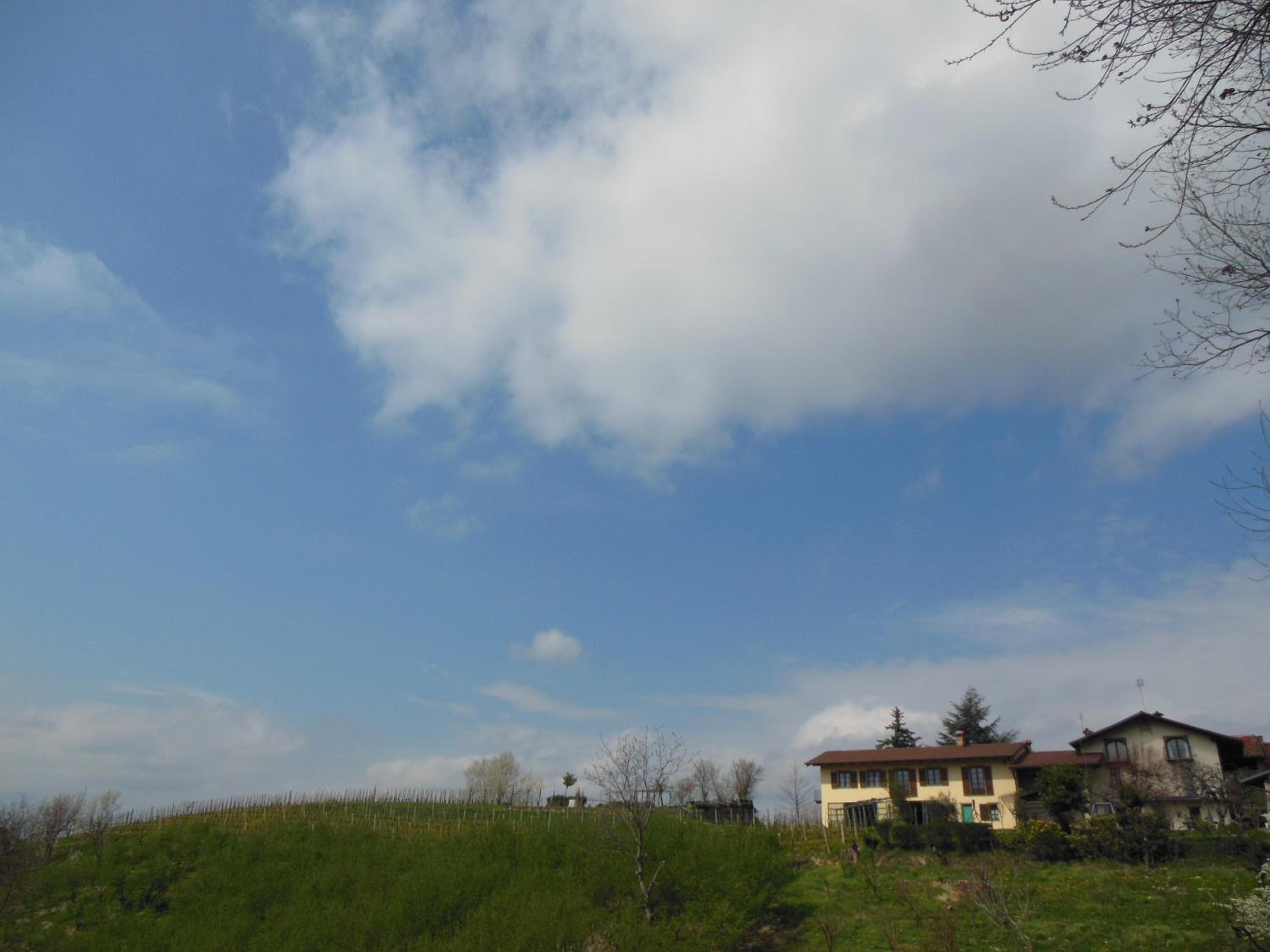 Photo 49