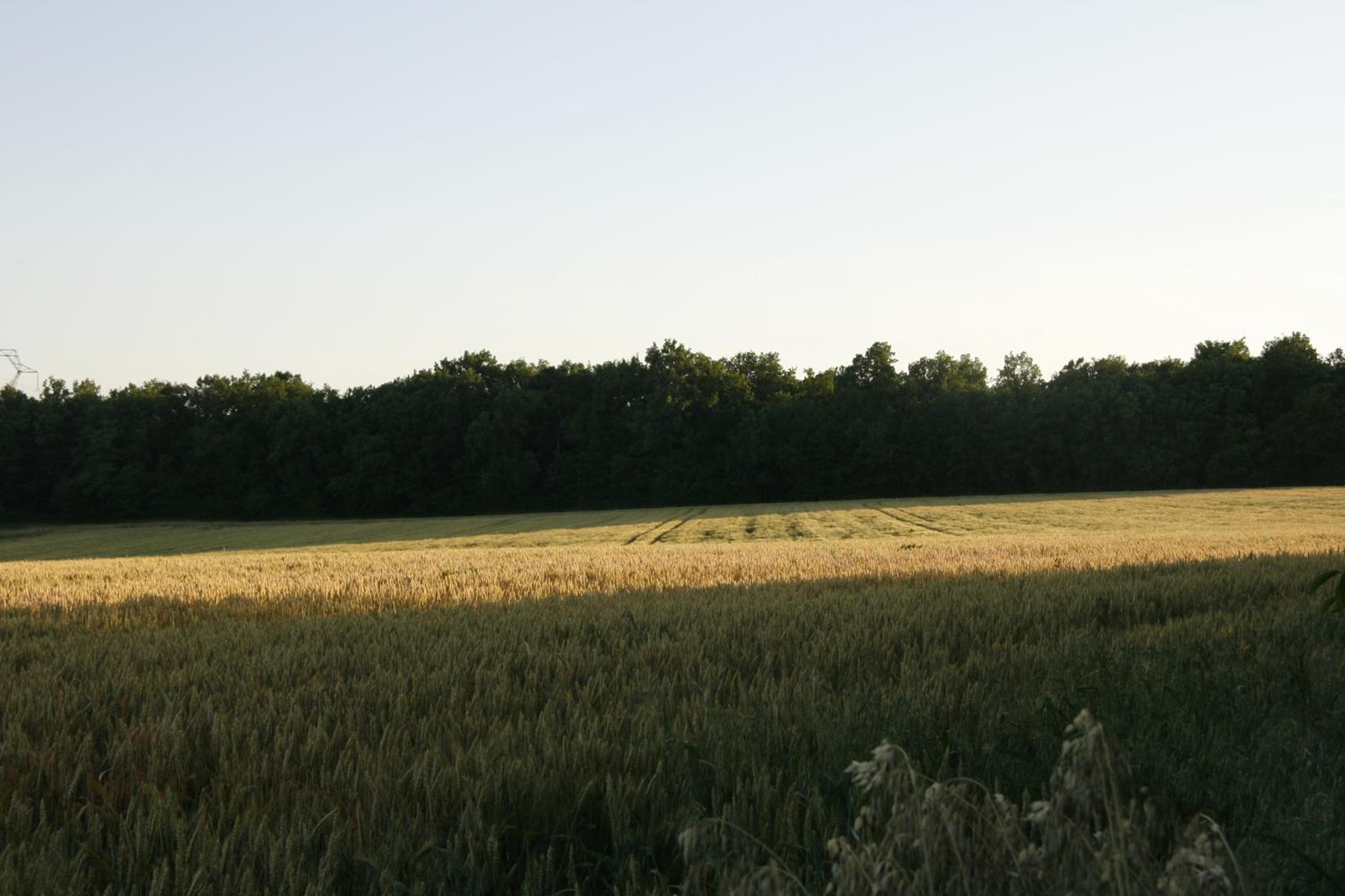 Photo 24