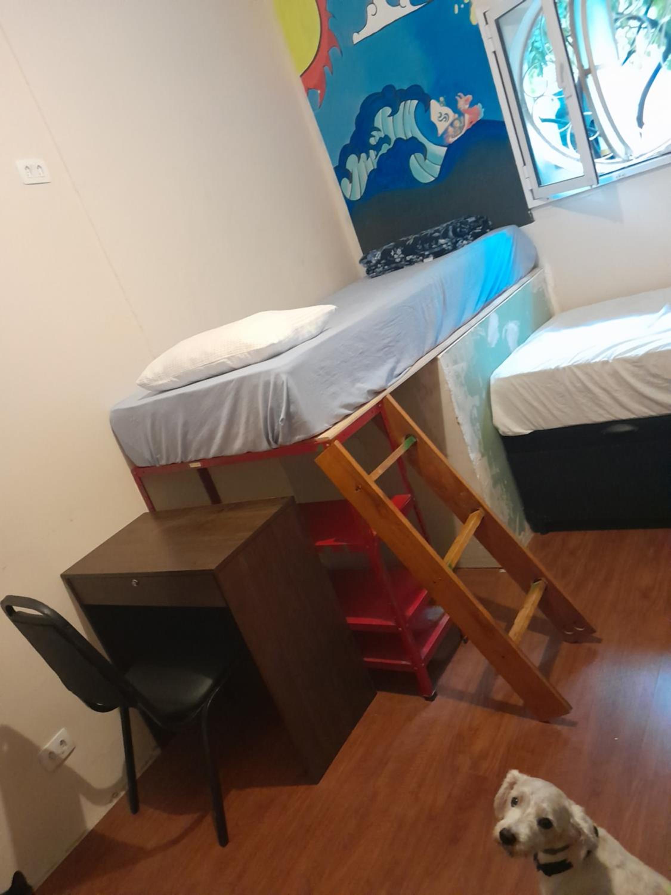 São Paulo Wanderlust G Hostel