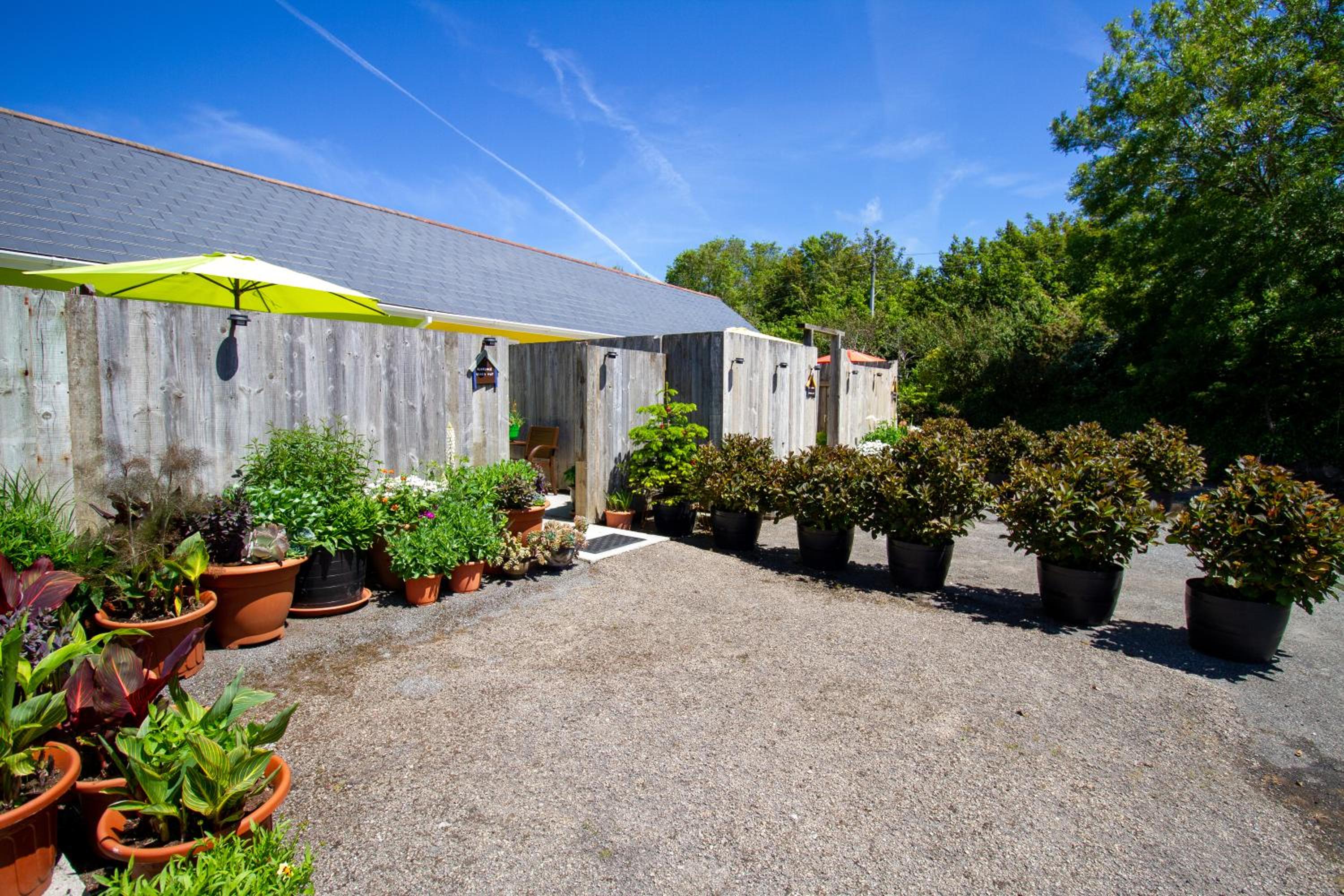 Photo 99