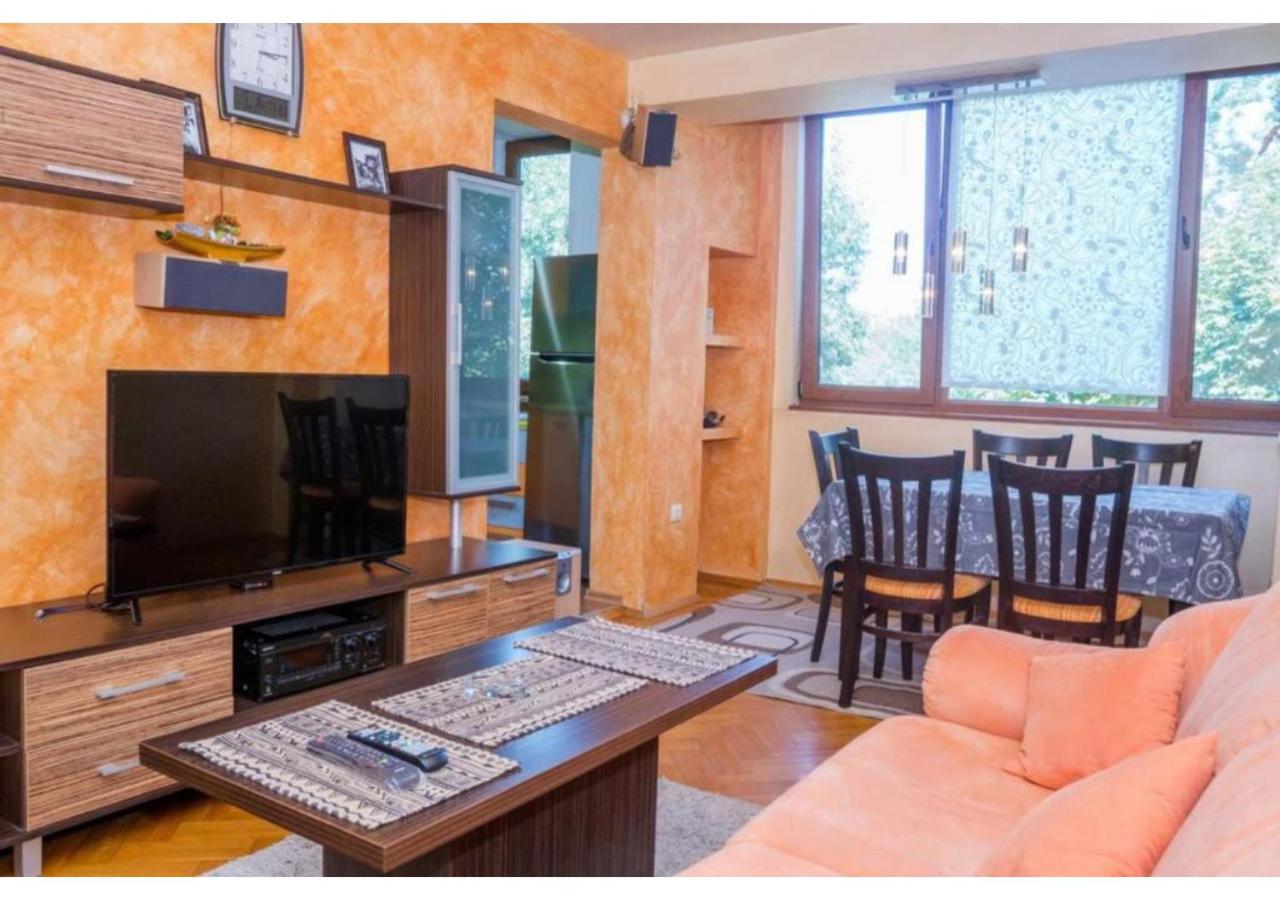 Luxury apartment on the first line to the sea view 4
