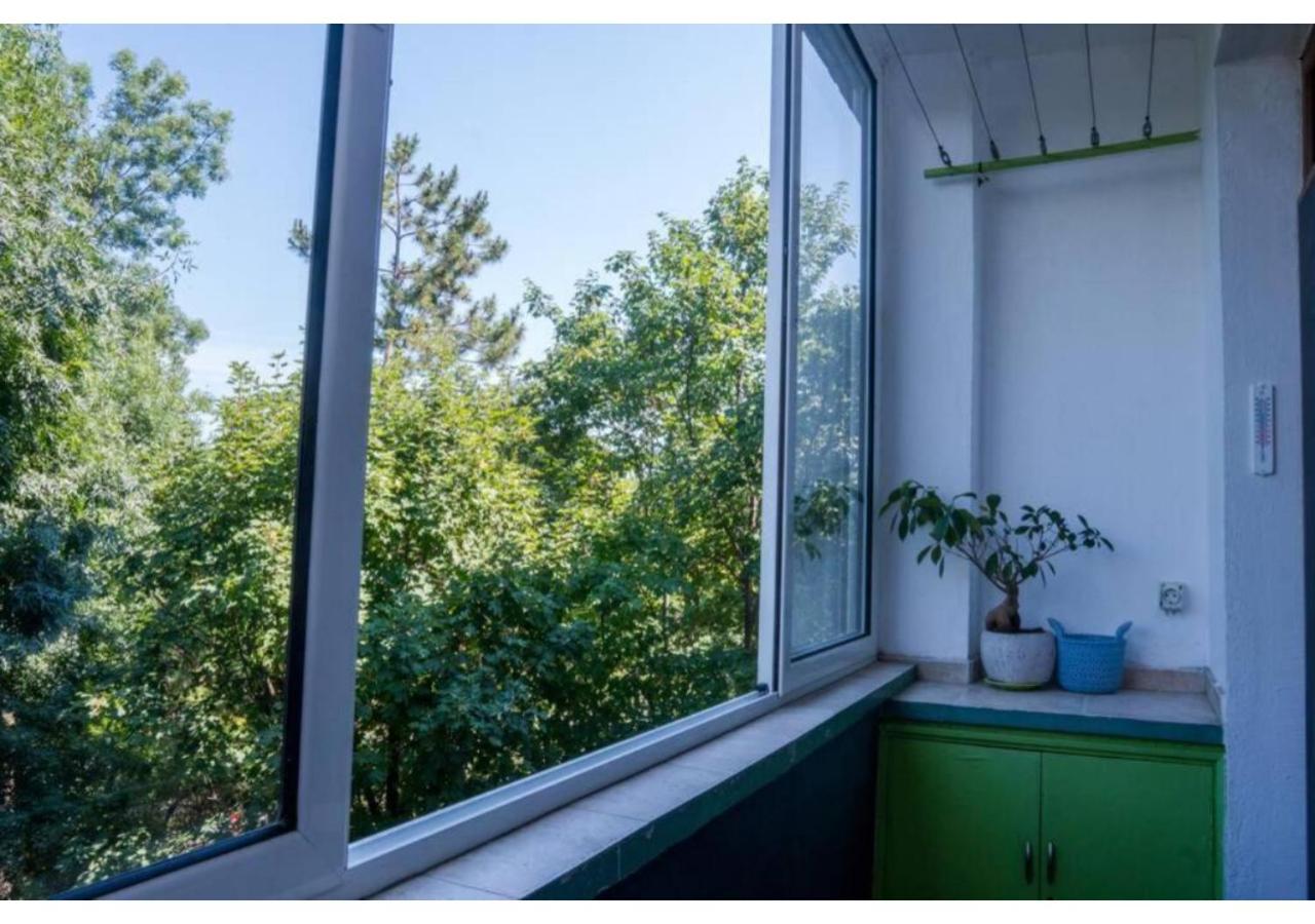 Luxury apartment on the first line to the sea view 2