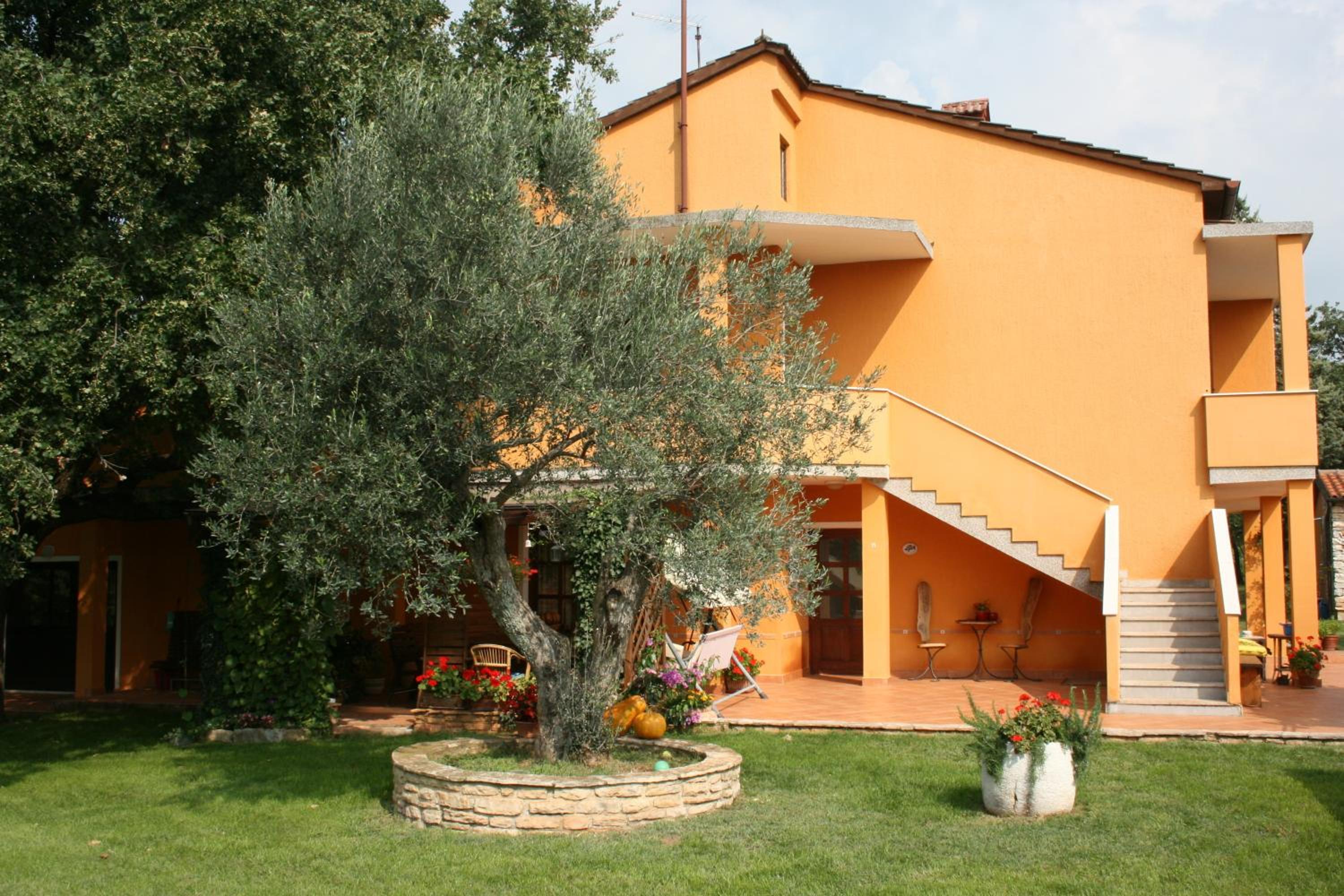 Photo 24
