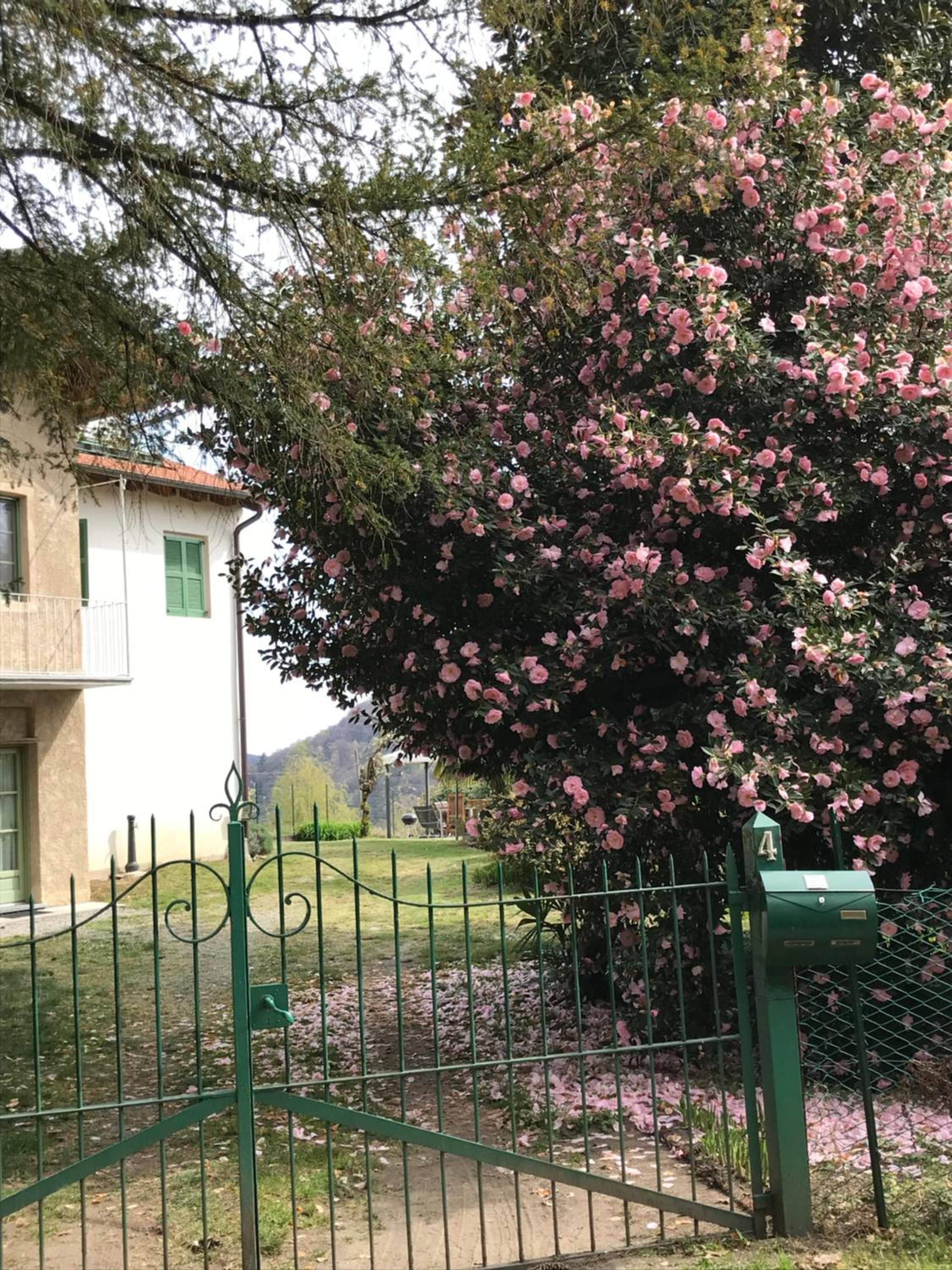 Appartamento La Camelia view 2