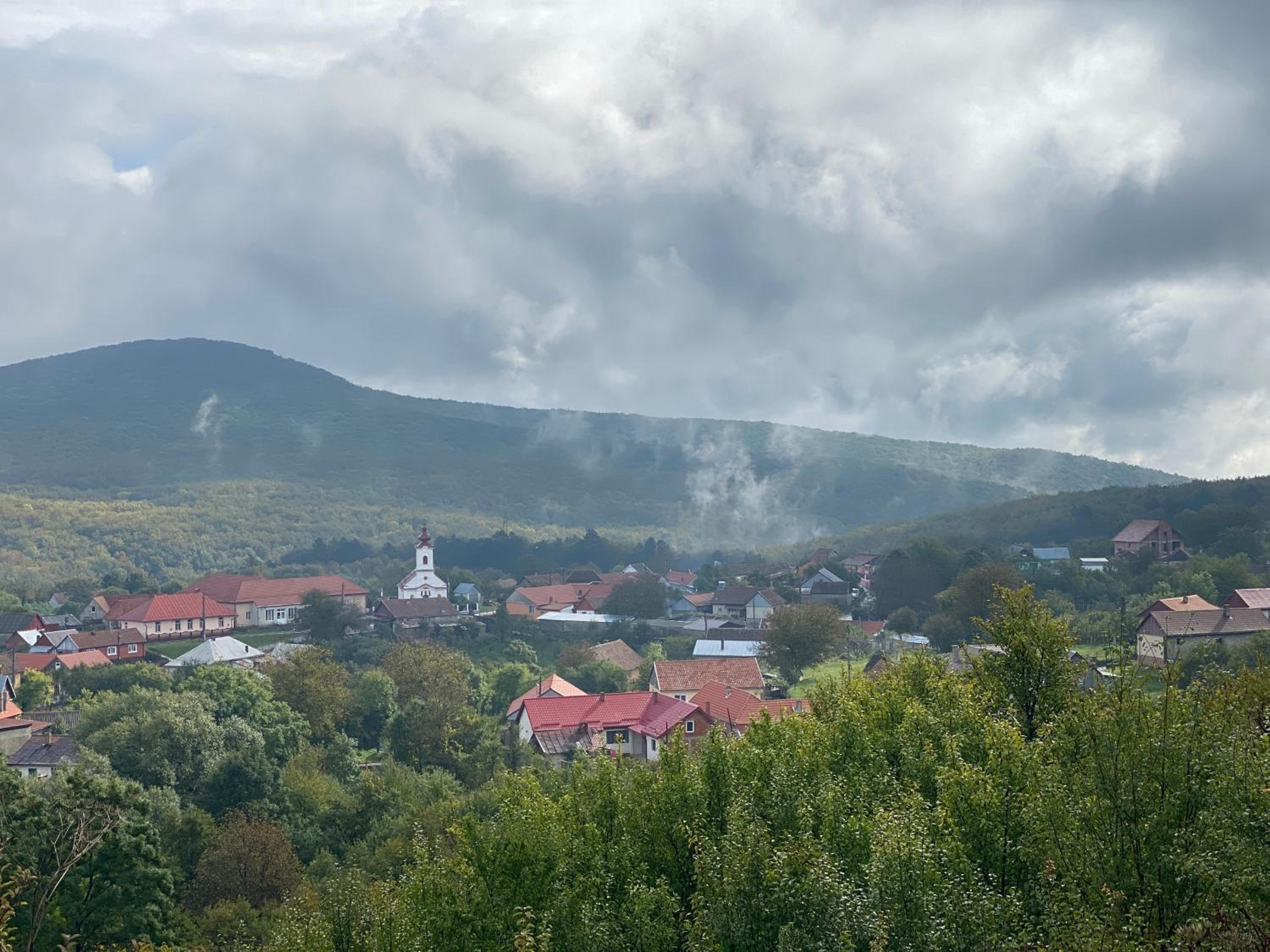 La Padurea Mica view 2