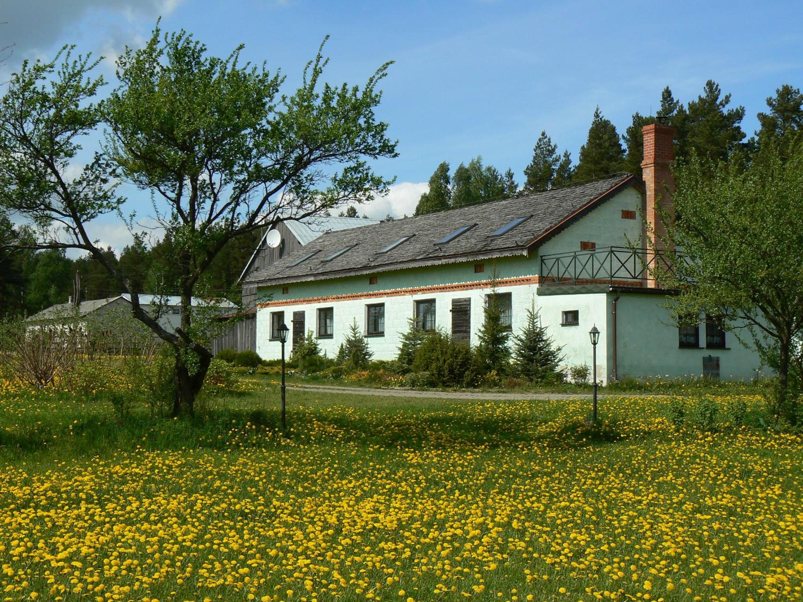 Photo 7