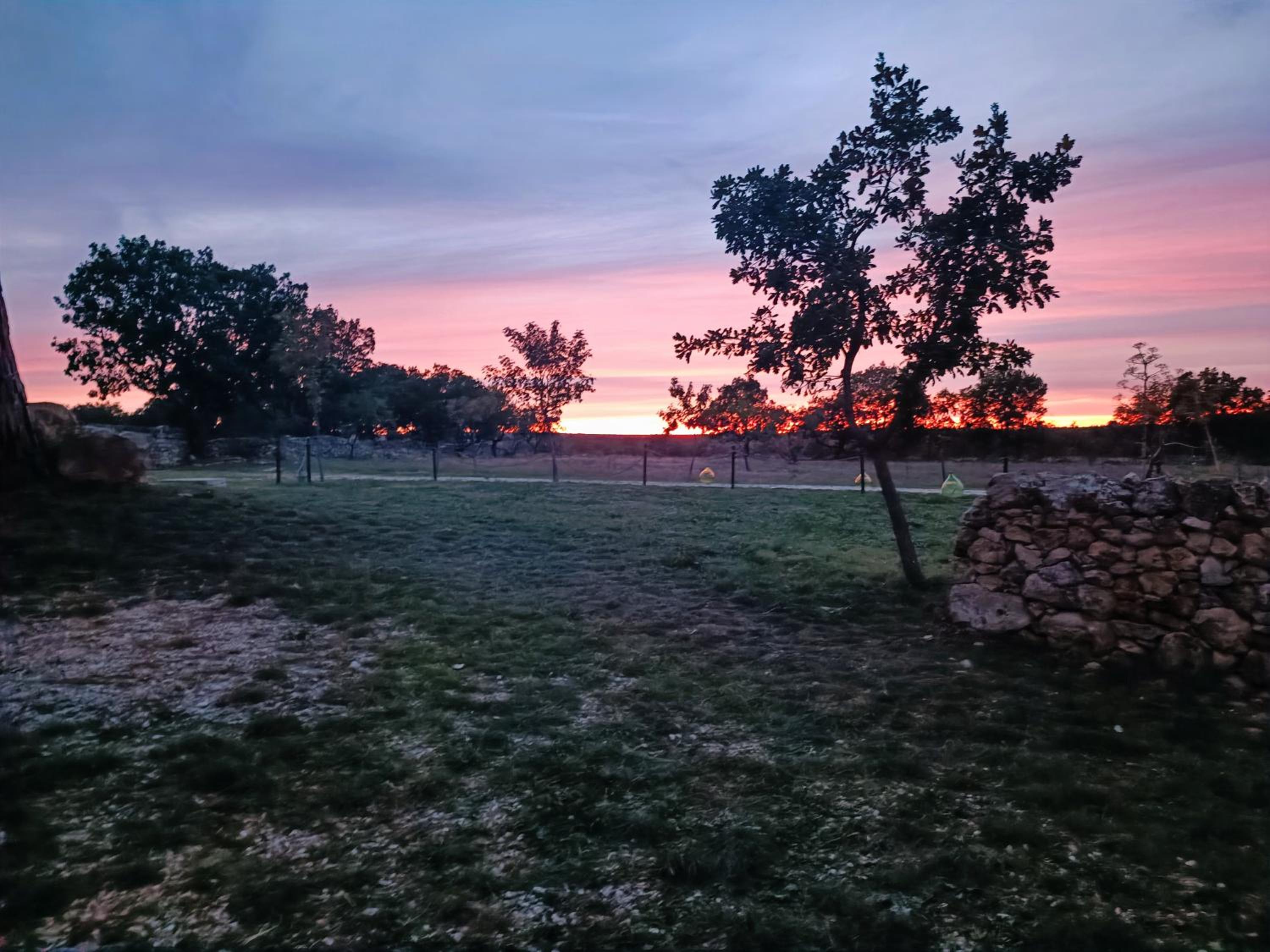 Tenuta Tedone Consolini