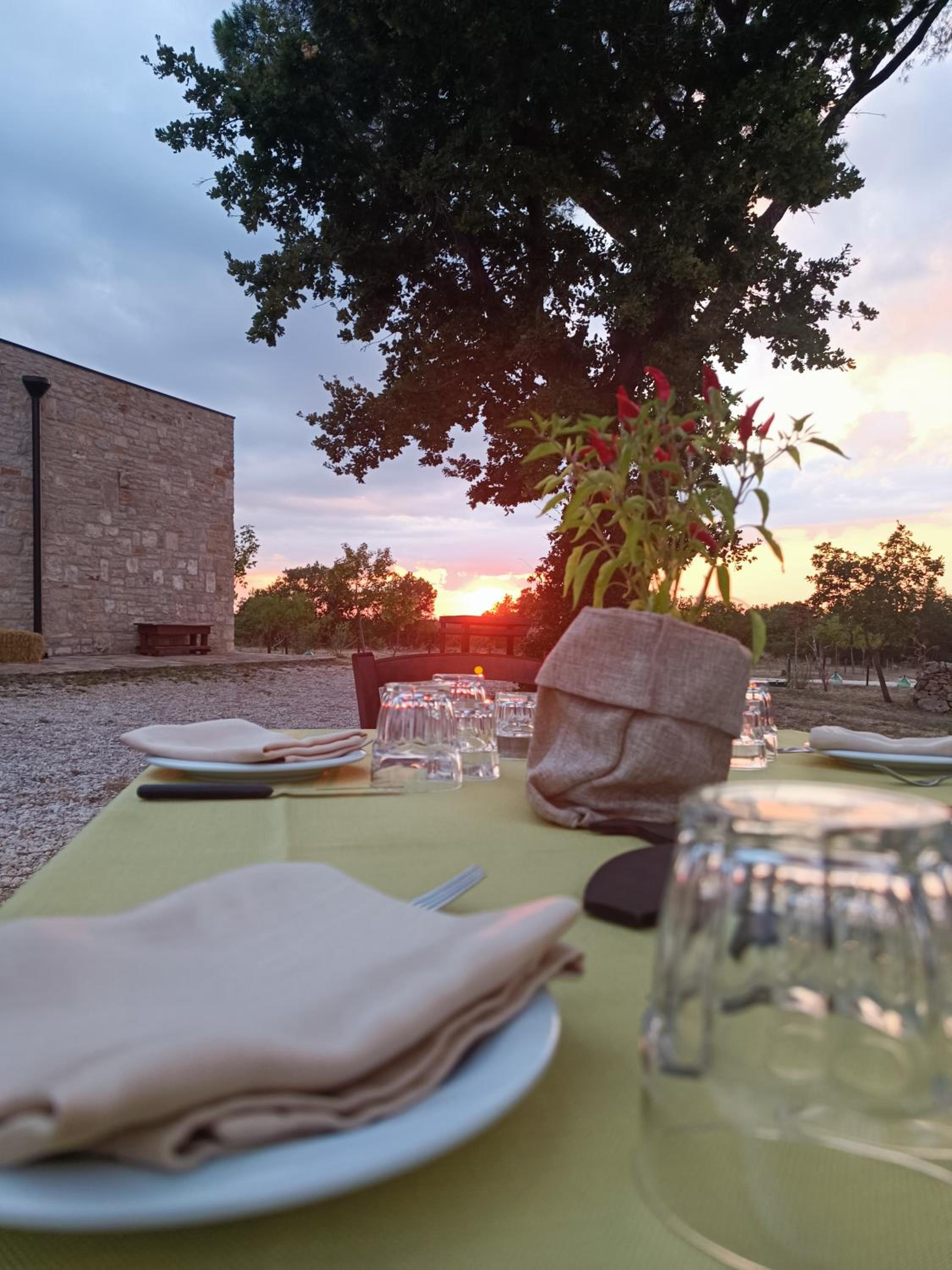 Tenuta Tedone Consolini