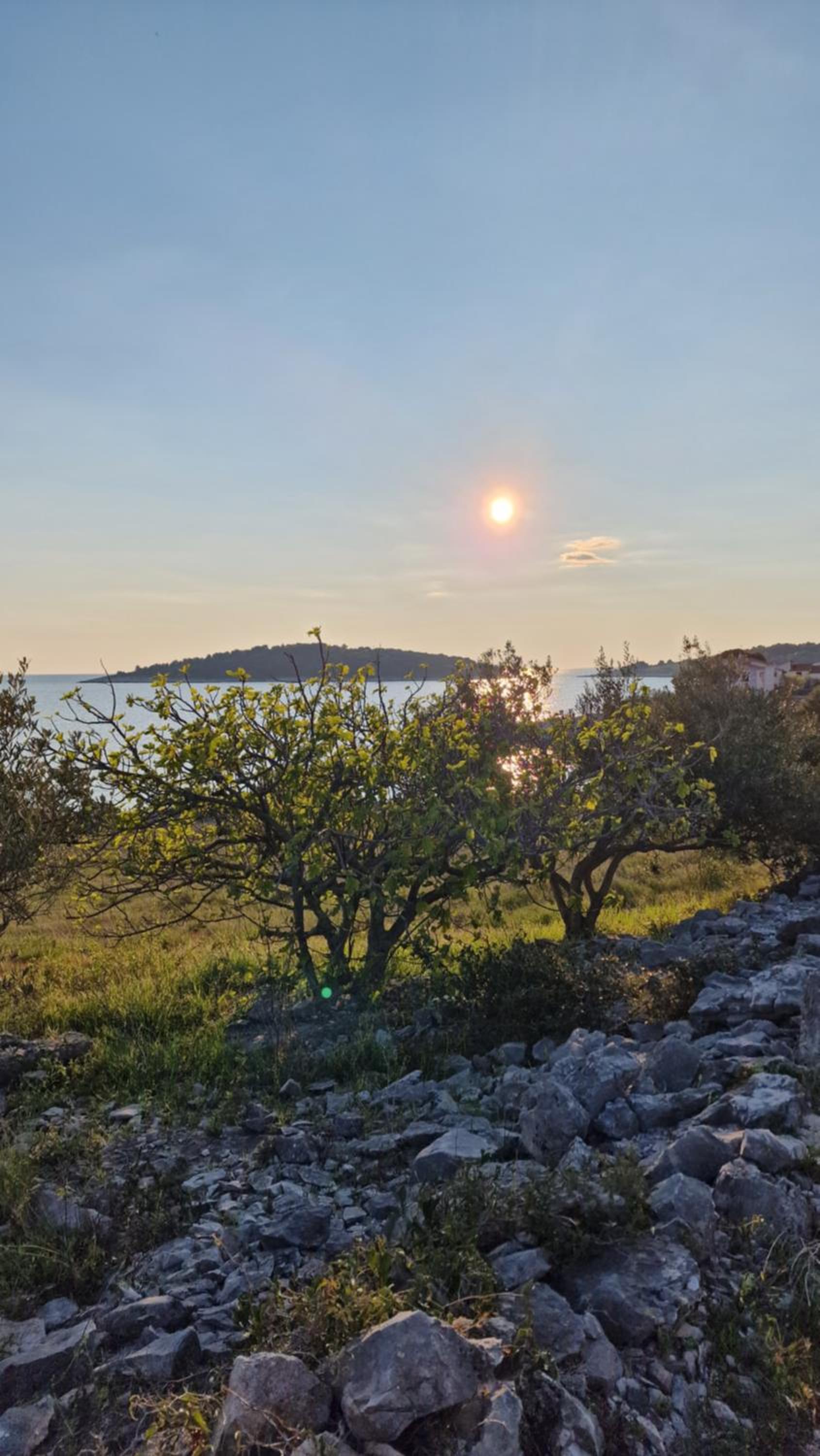 Maneni view 4