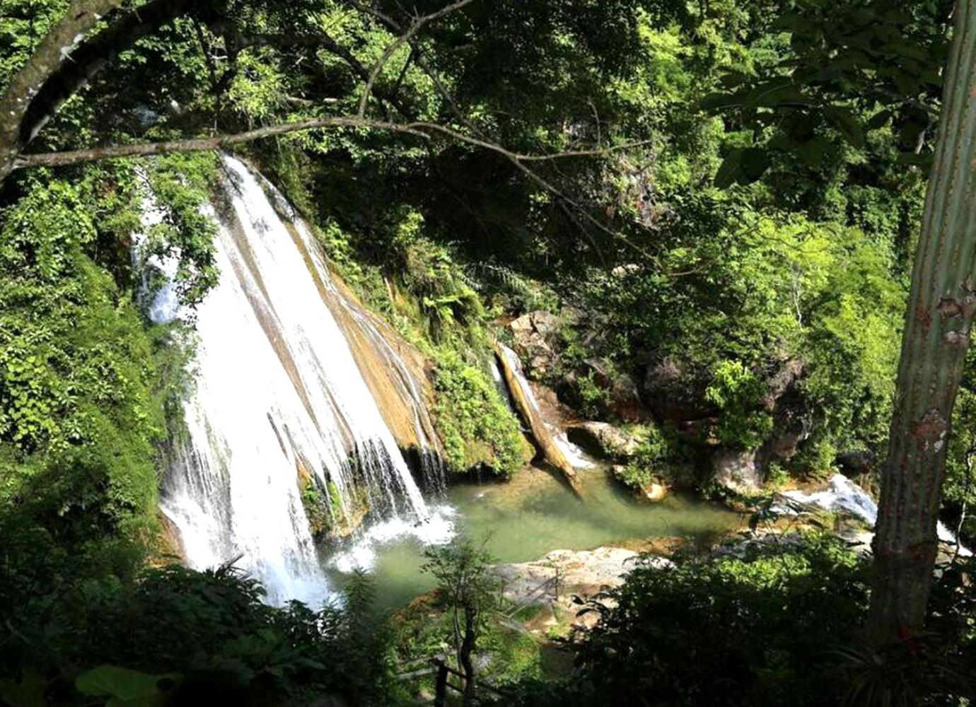 Photo 10