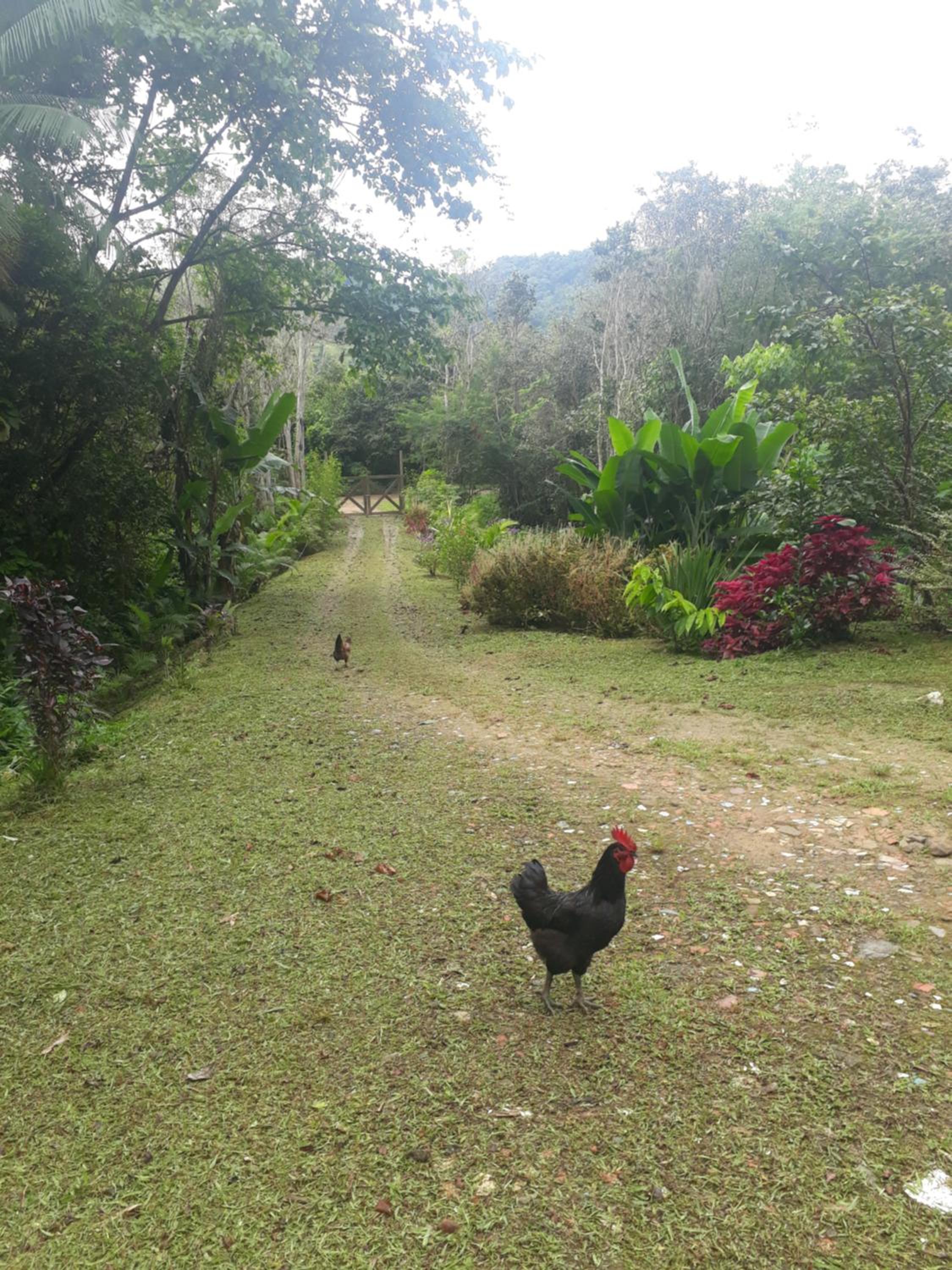 Recanto dos Lobosco