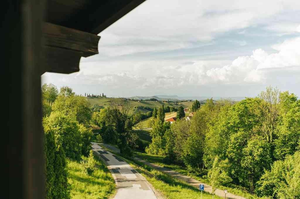 Gästezimmer & Buschenschank mit Weingut Hack-Gebell view 3