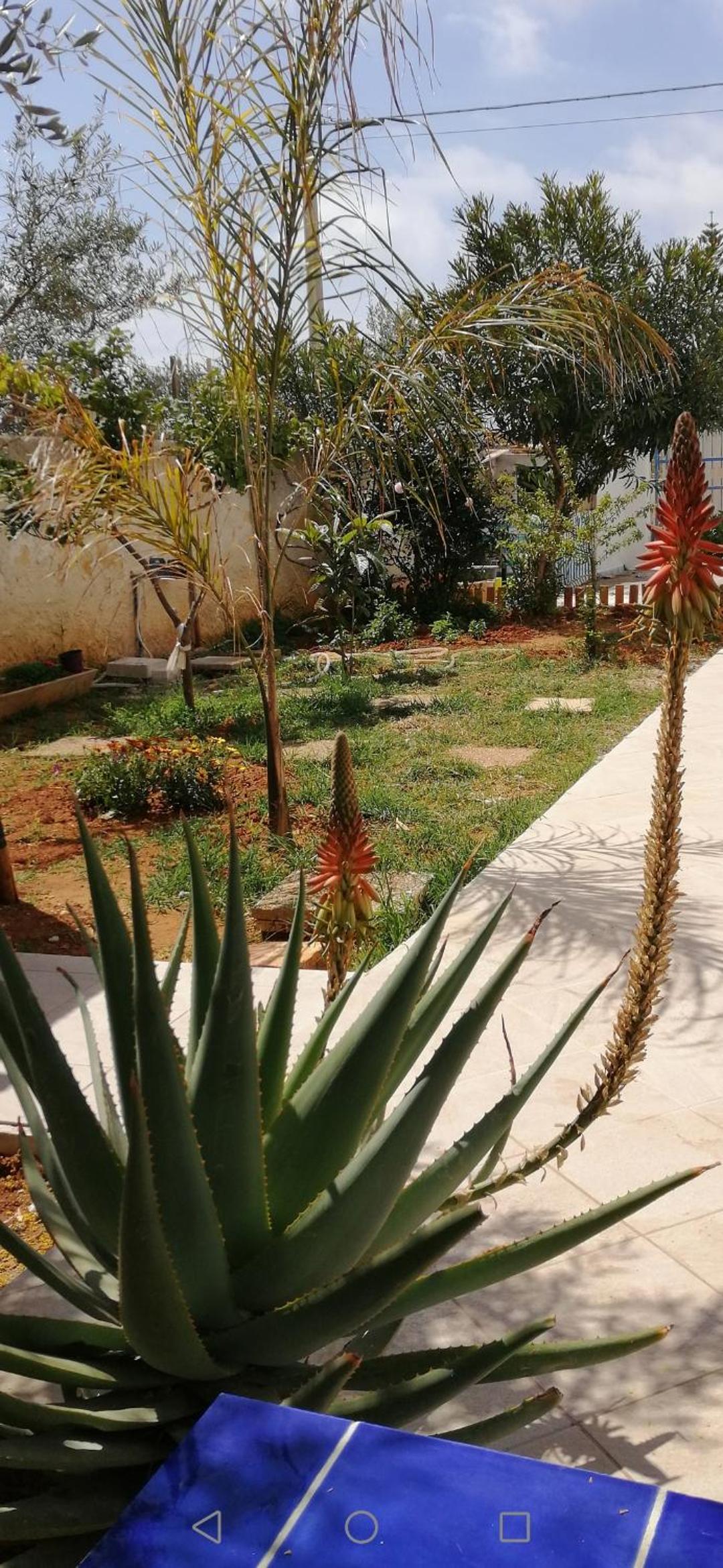Villa Sunshine