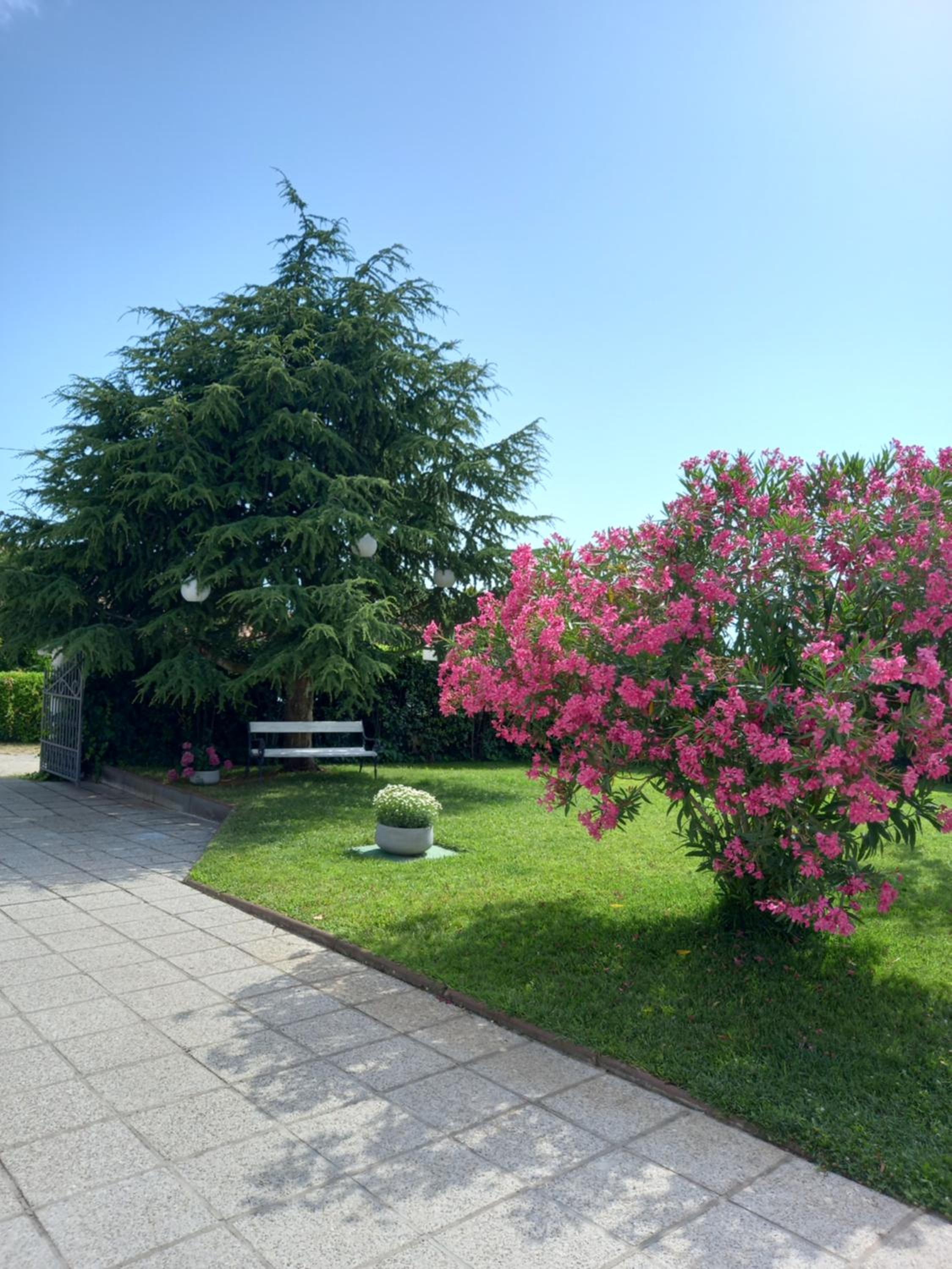 Villa Henne view 5