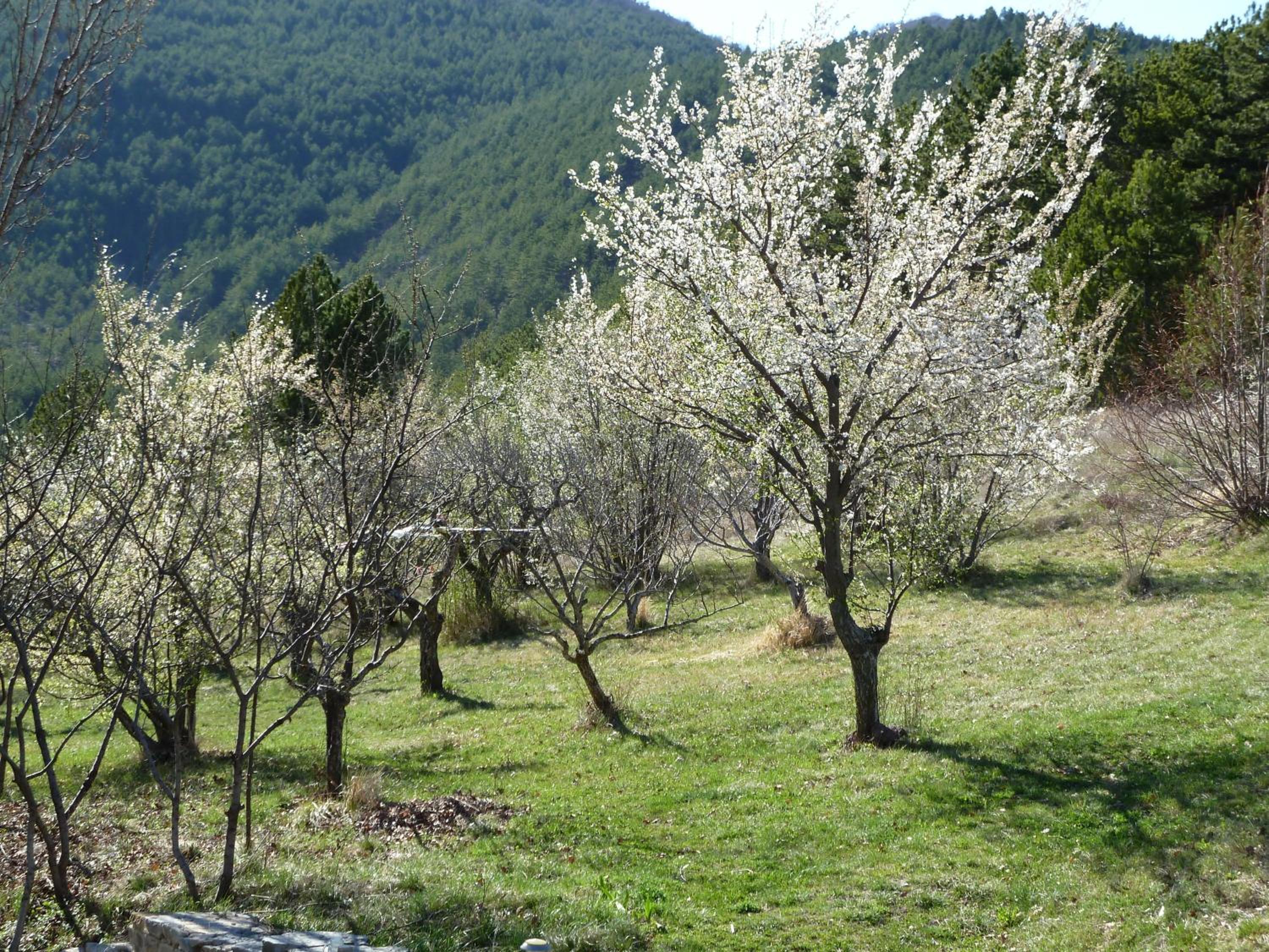 Photo 40