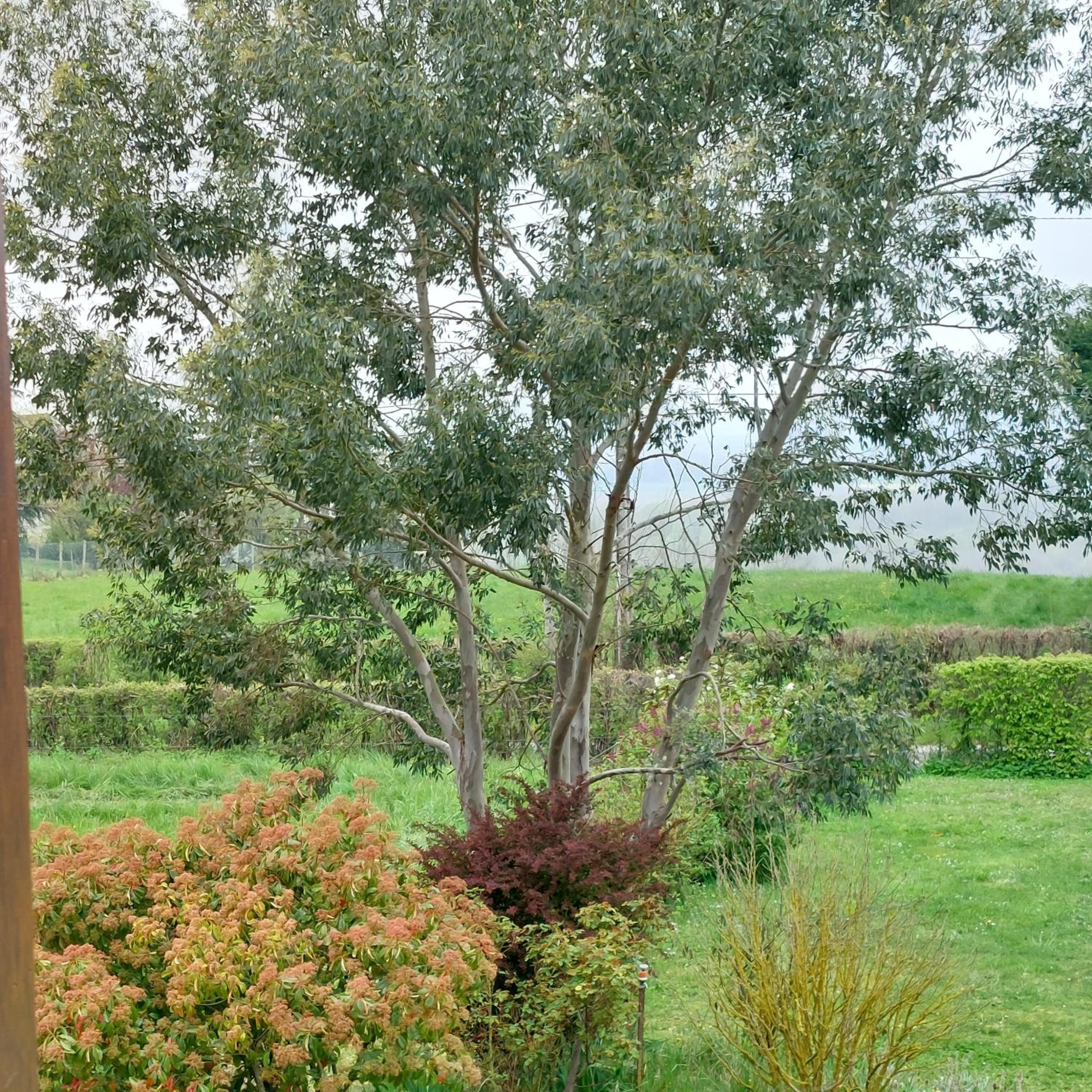 Detente a la campagne photo 2