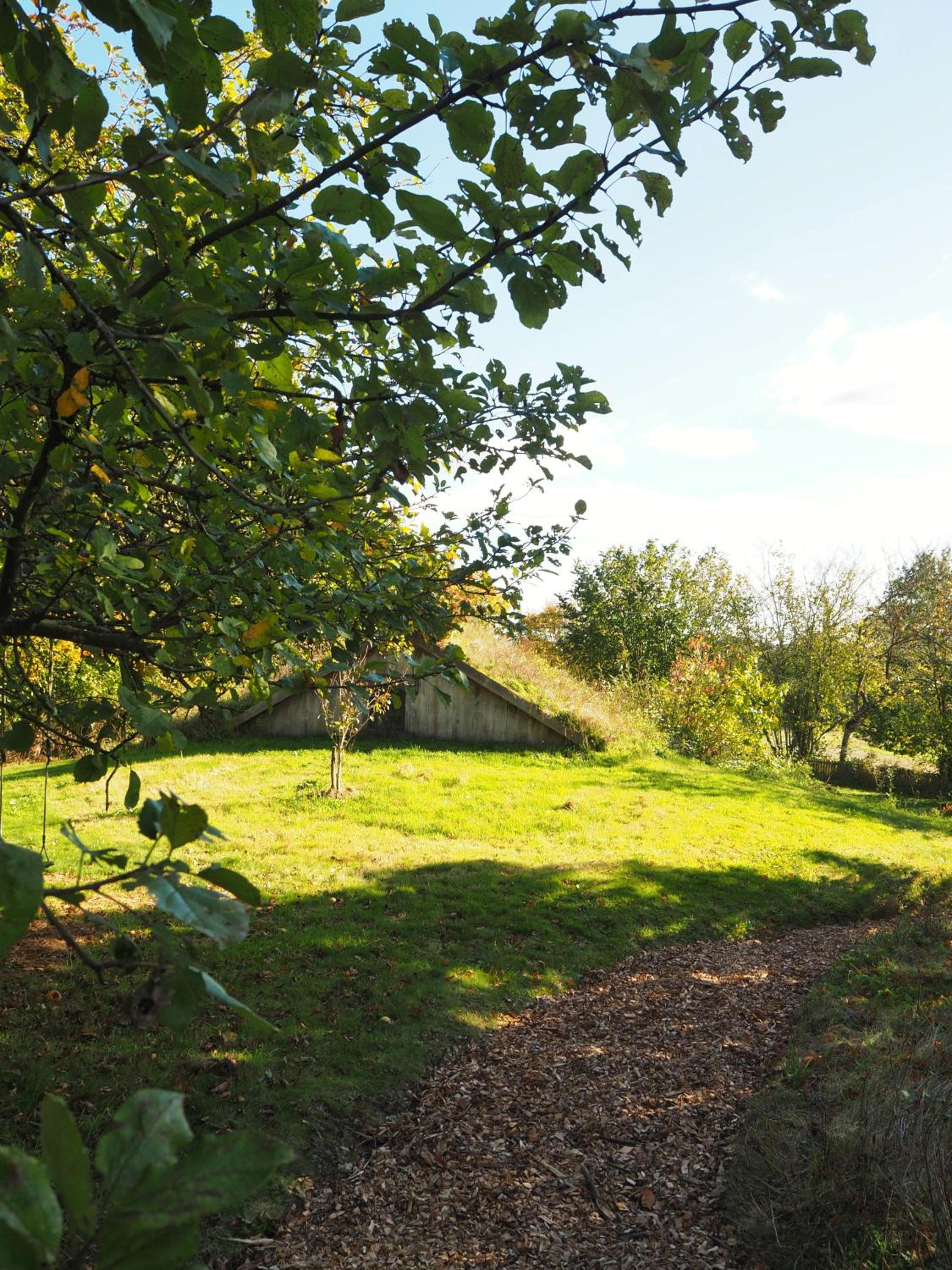 Photo 23