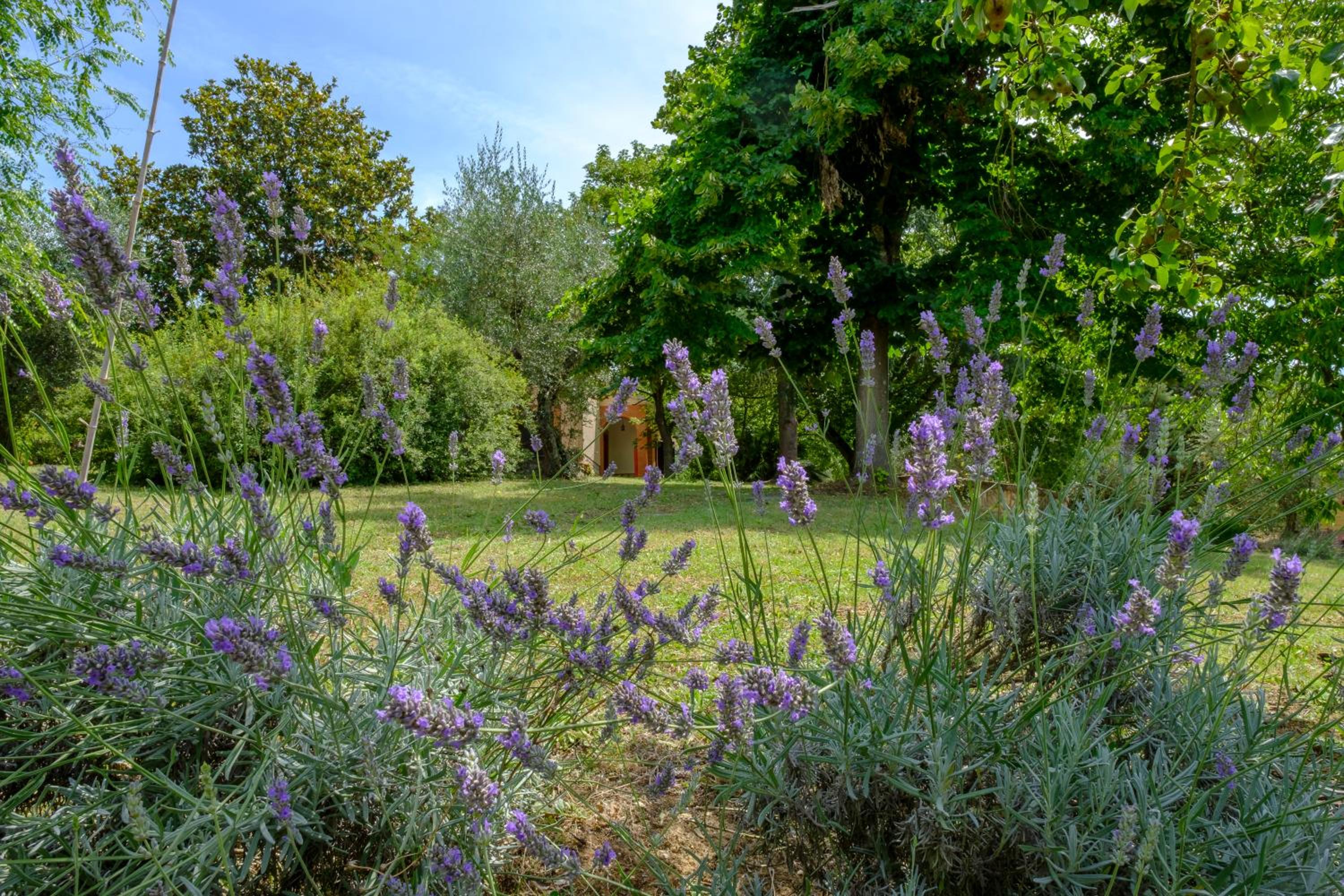 Umbria Country B&B photo 2