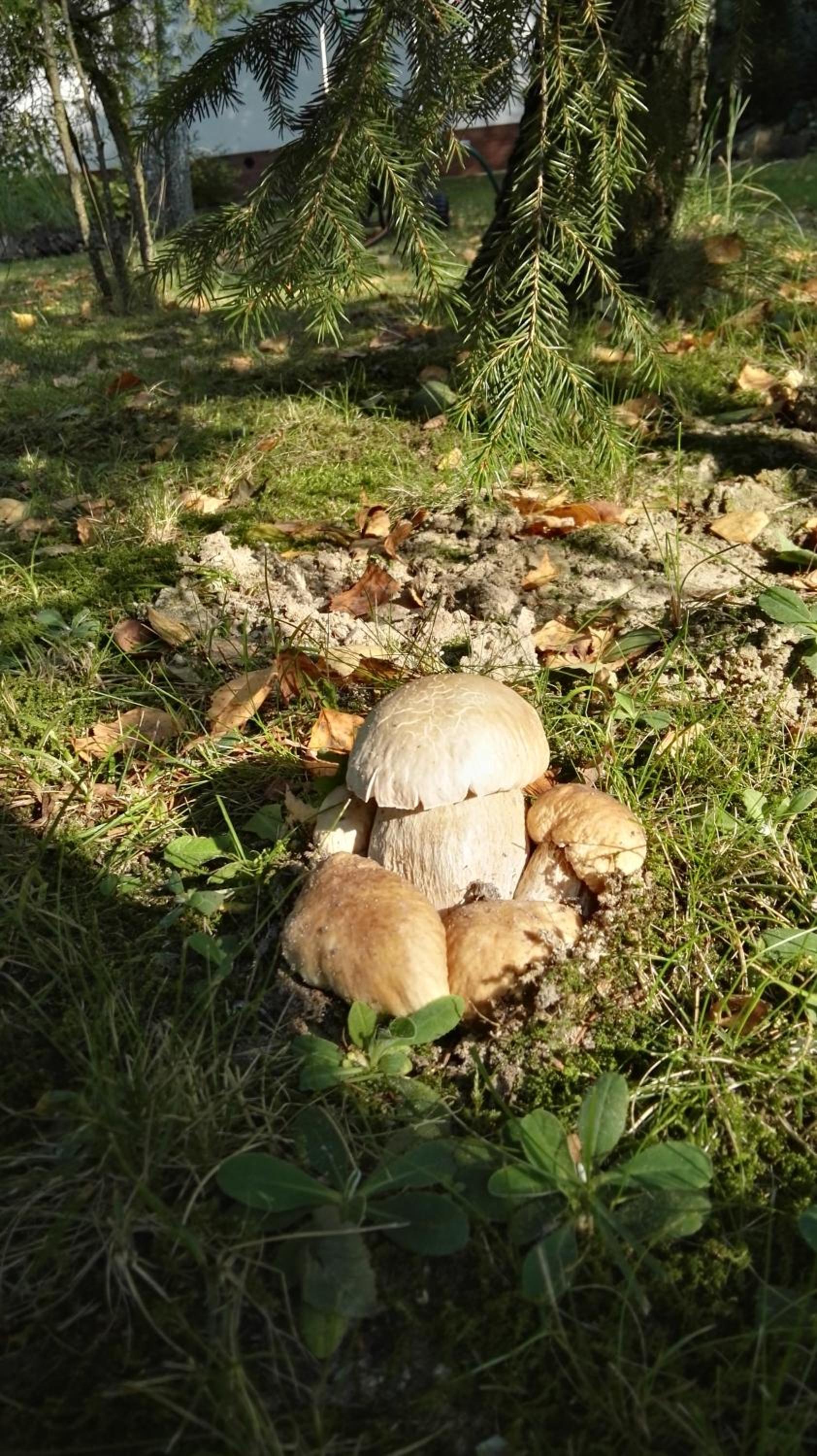 Photo 49