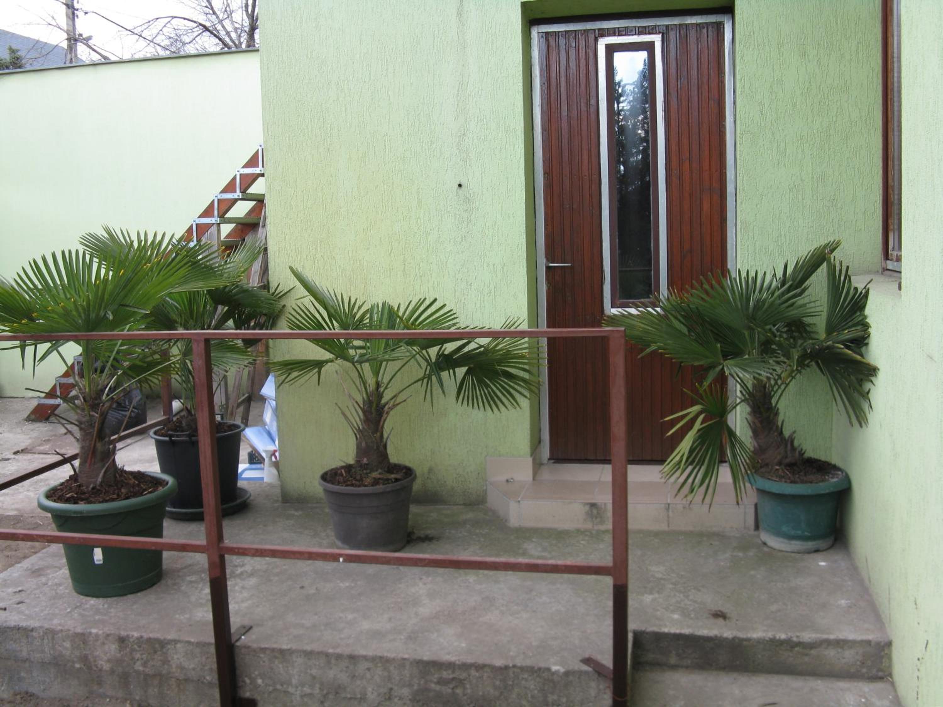 Kárpáti Motel