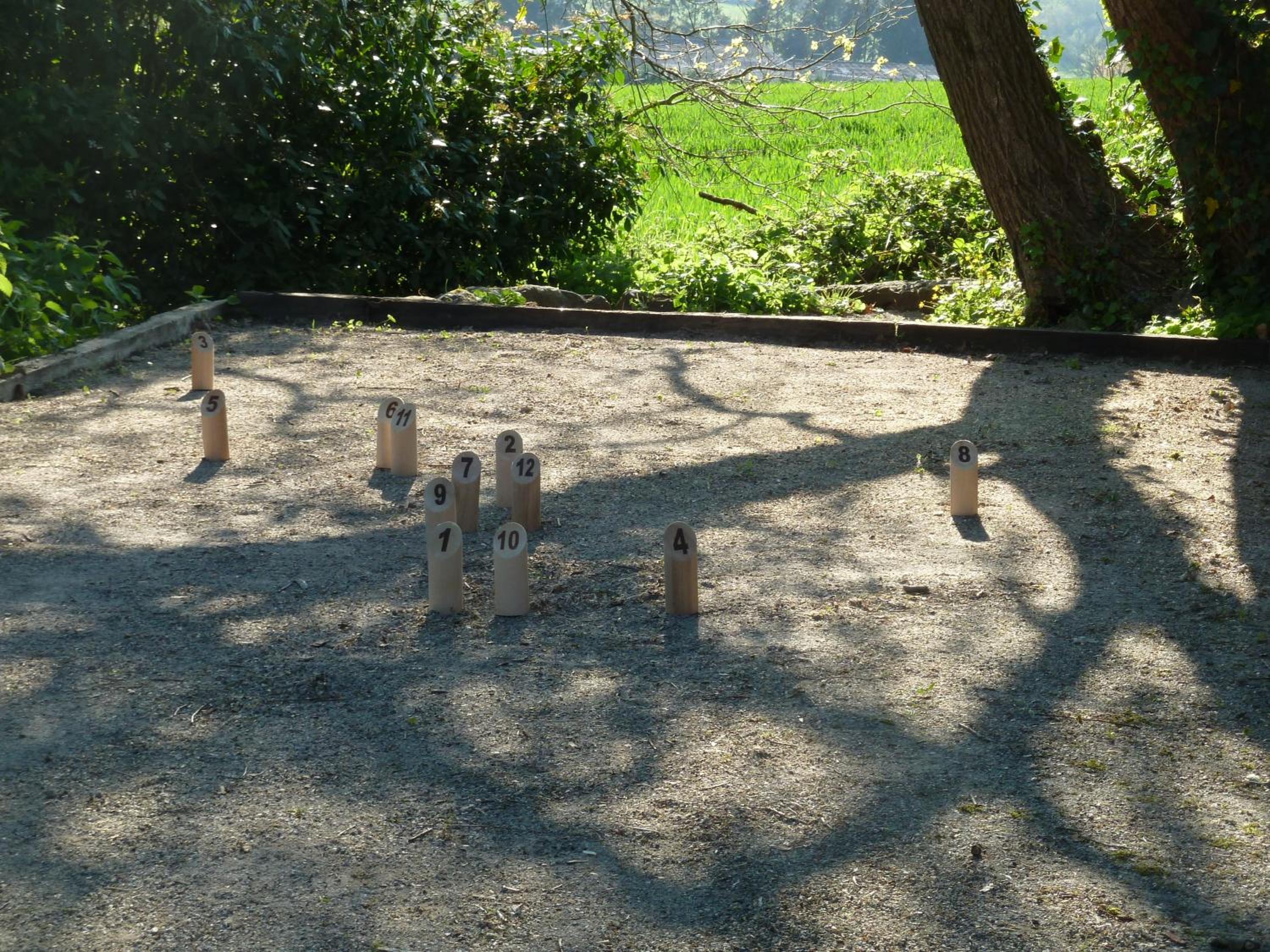 Photo 41