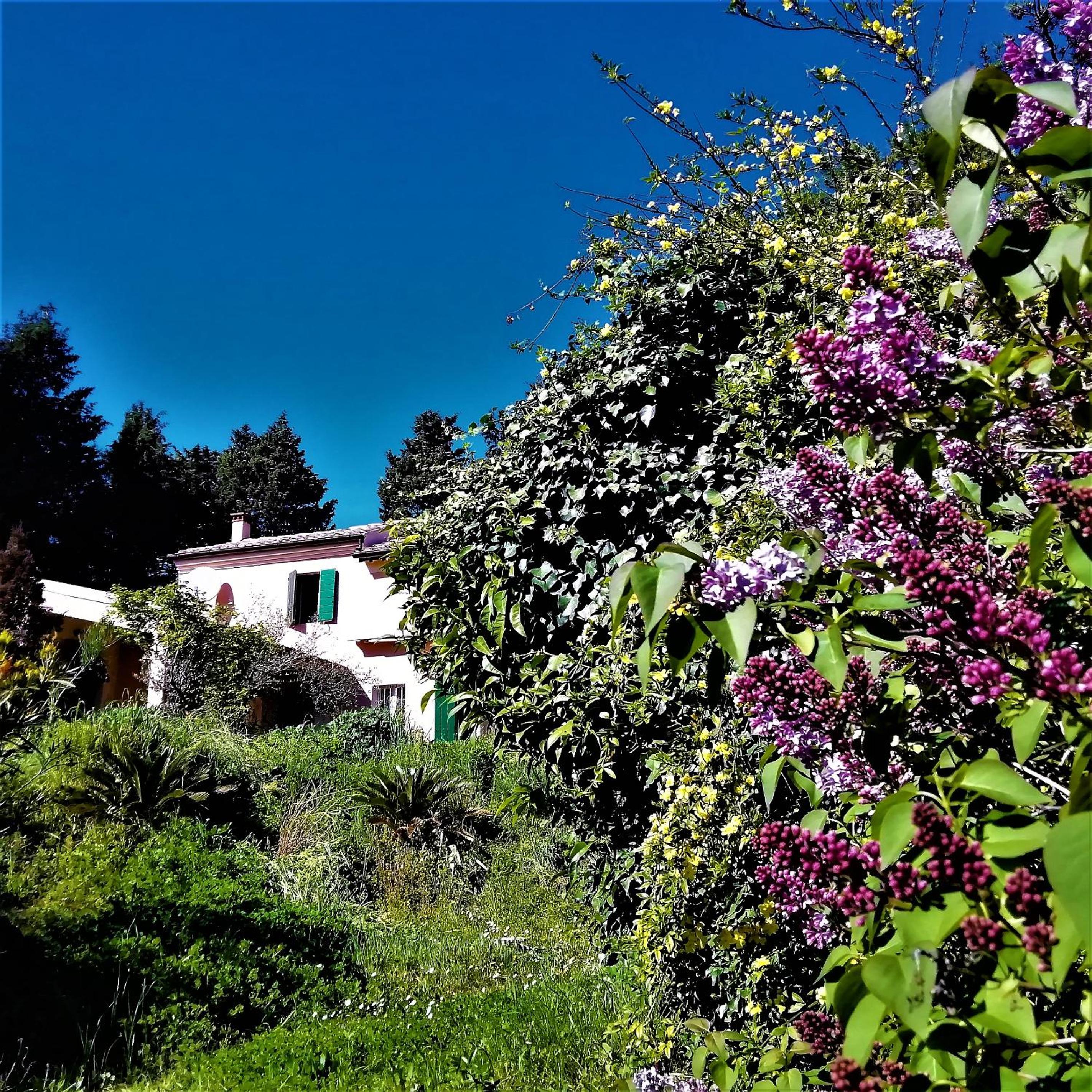 Photo 44