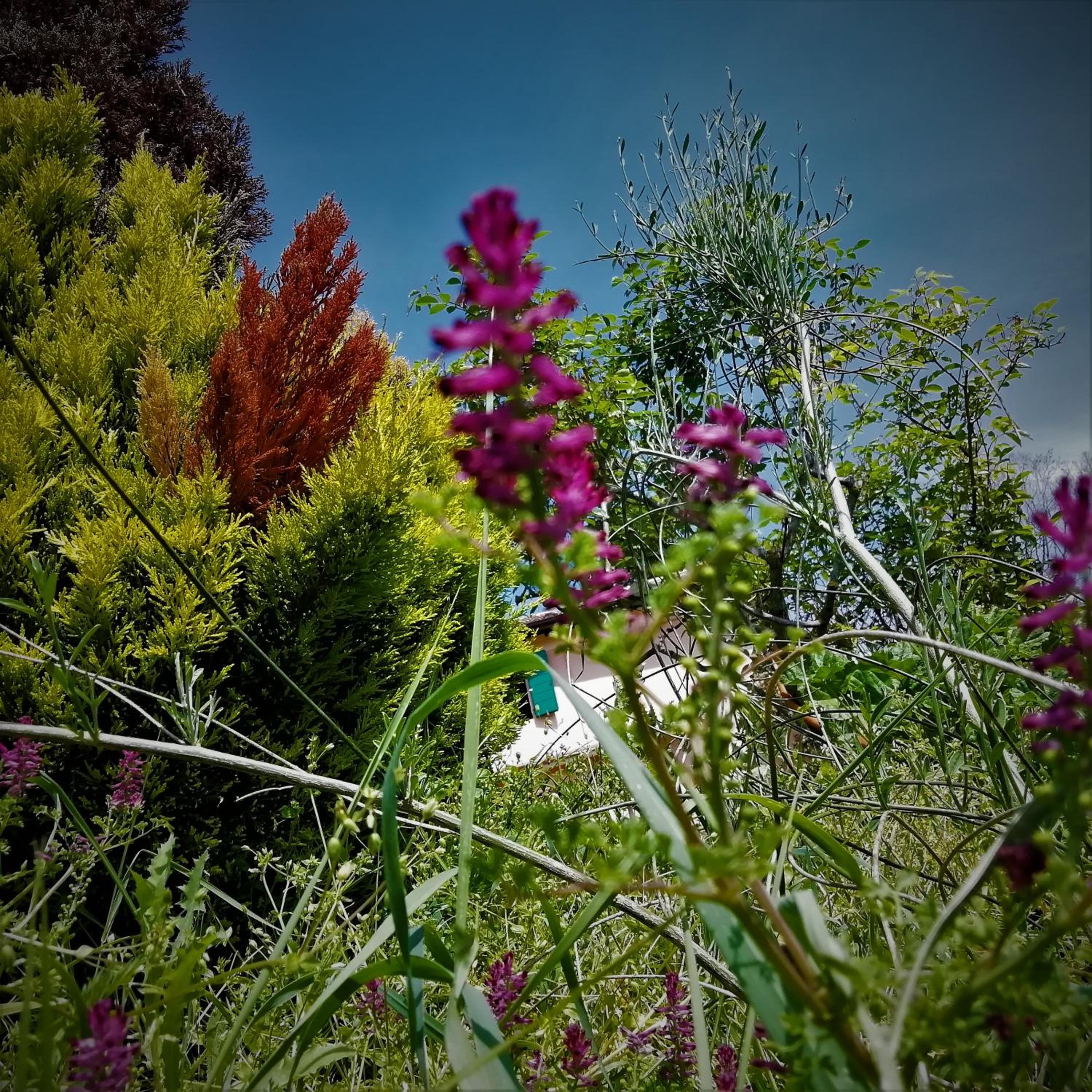 Photo 45
