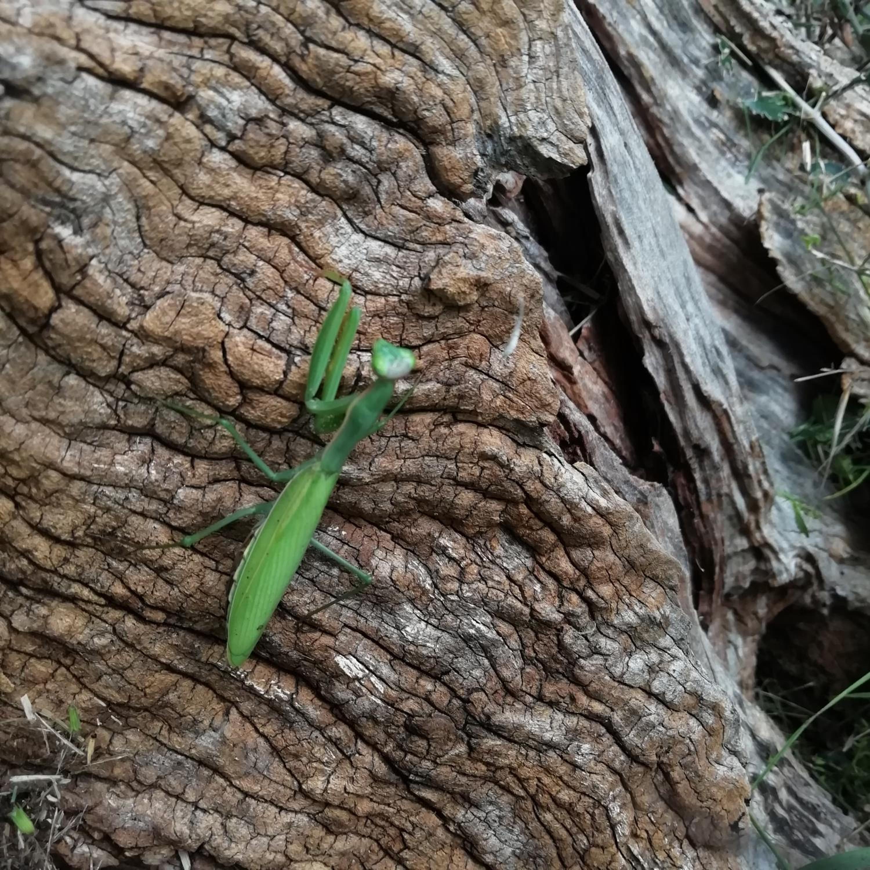 Photo 46