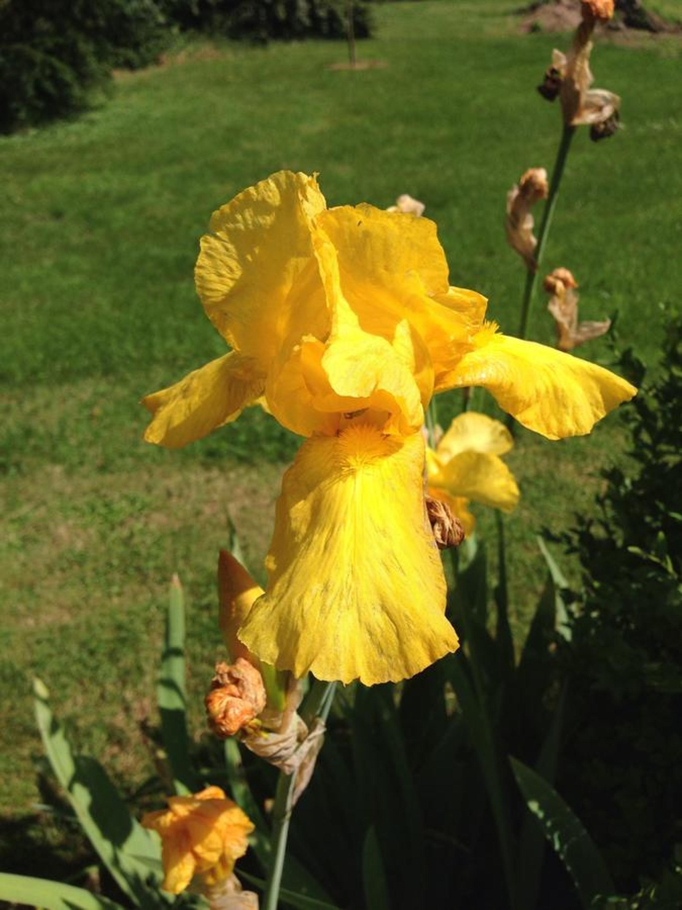 Photo 11