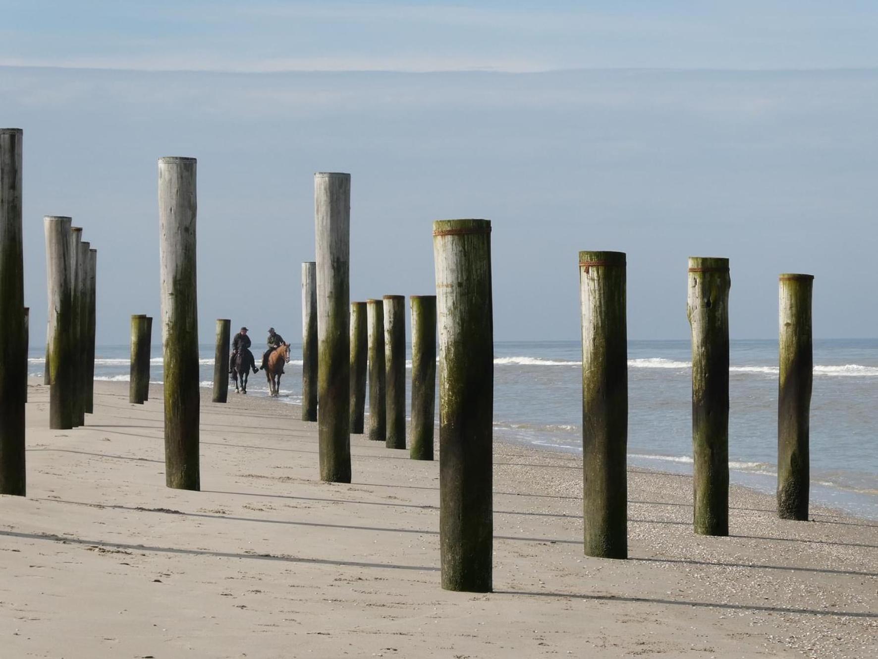 Heerlijk chalet op 5* camping