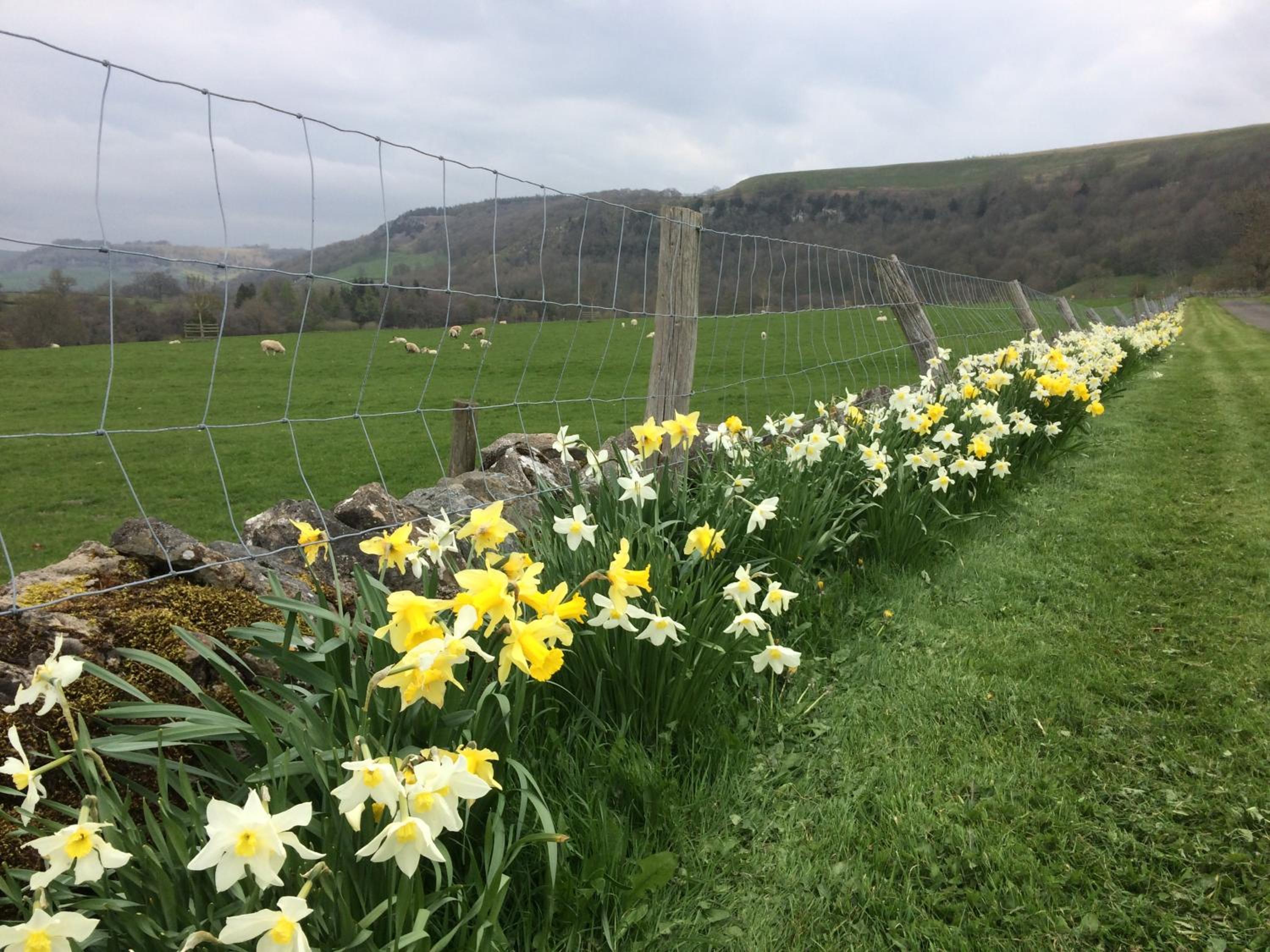 Ellerton Lodge Bed and Breakfast Swaledale view 4